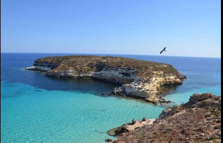 B&B Stella del Mare photo 3