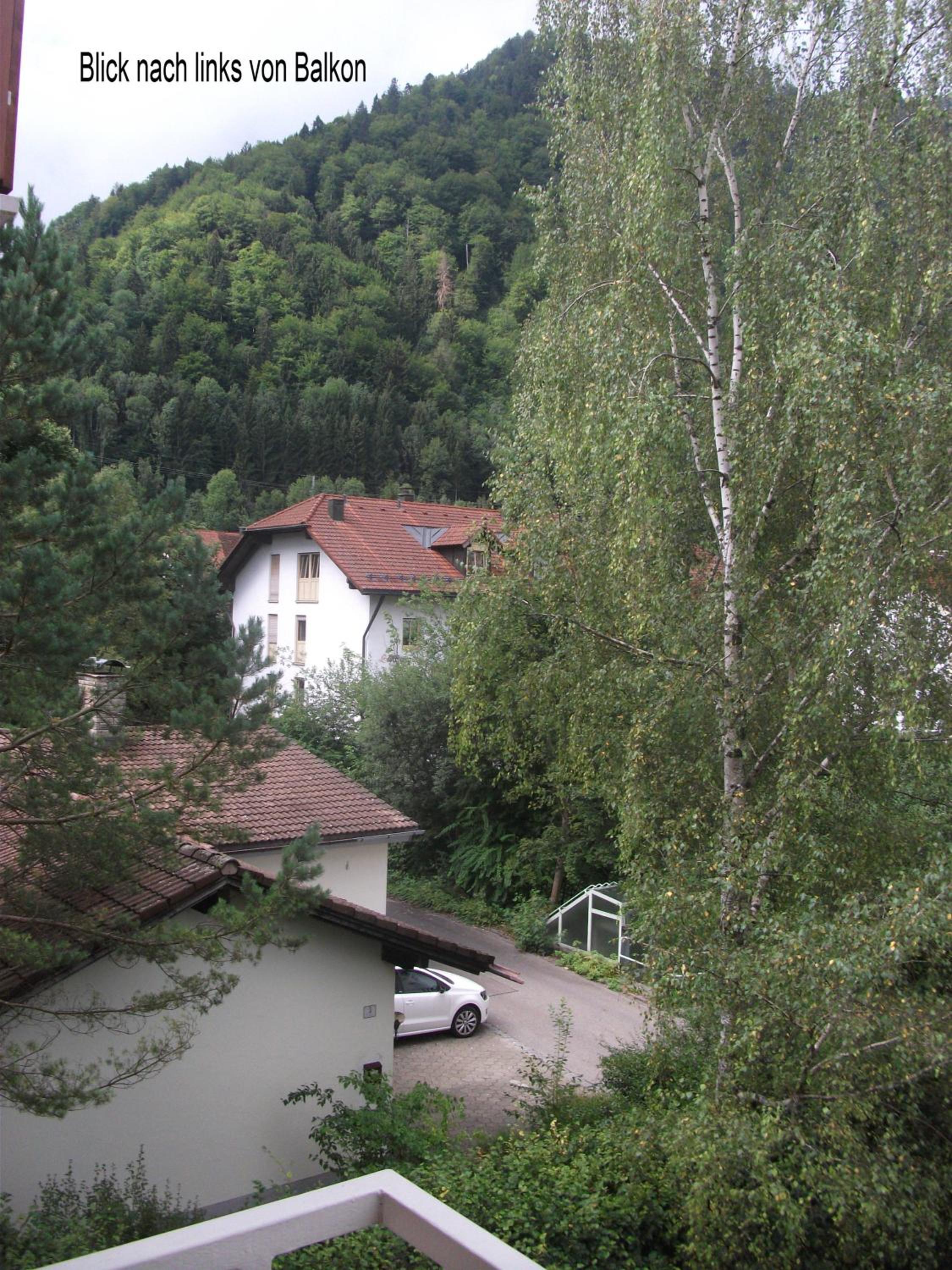 Appartemant Steineberg view 2