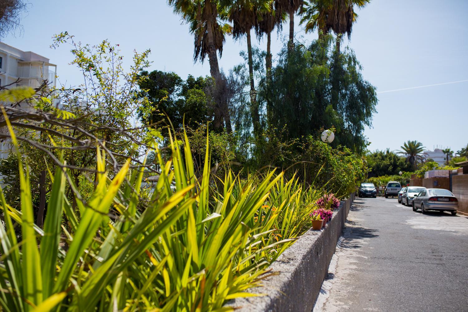 Calle Lanzarote 29C photo 3