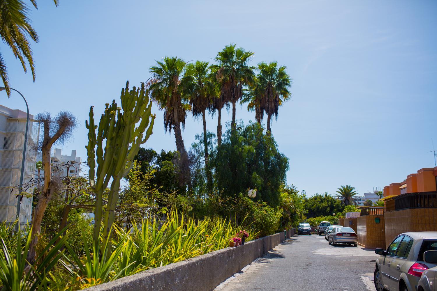 Calle Lanzarote 29C photo 4