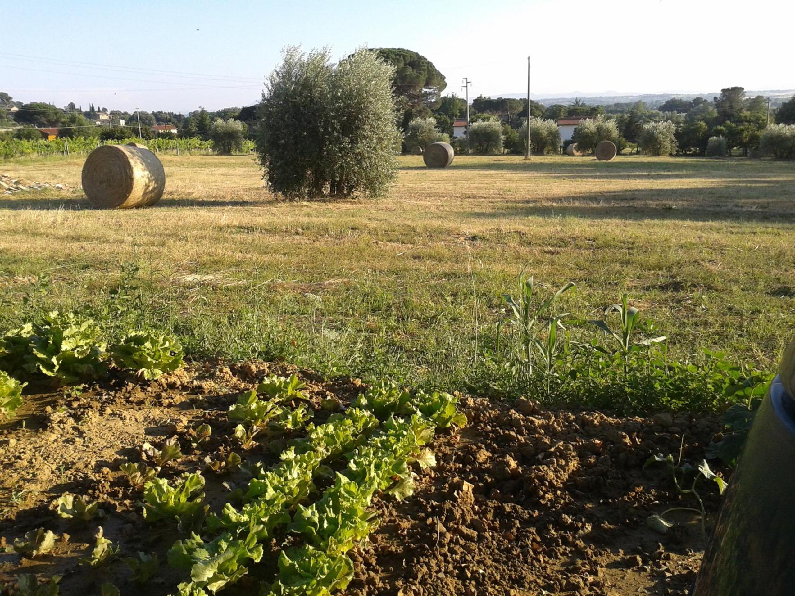 Photo 35