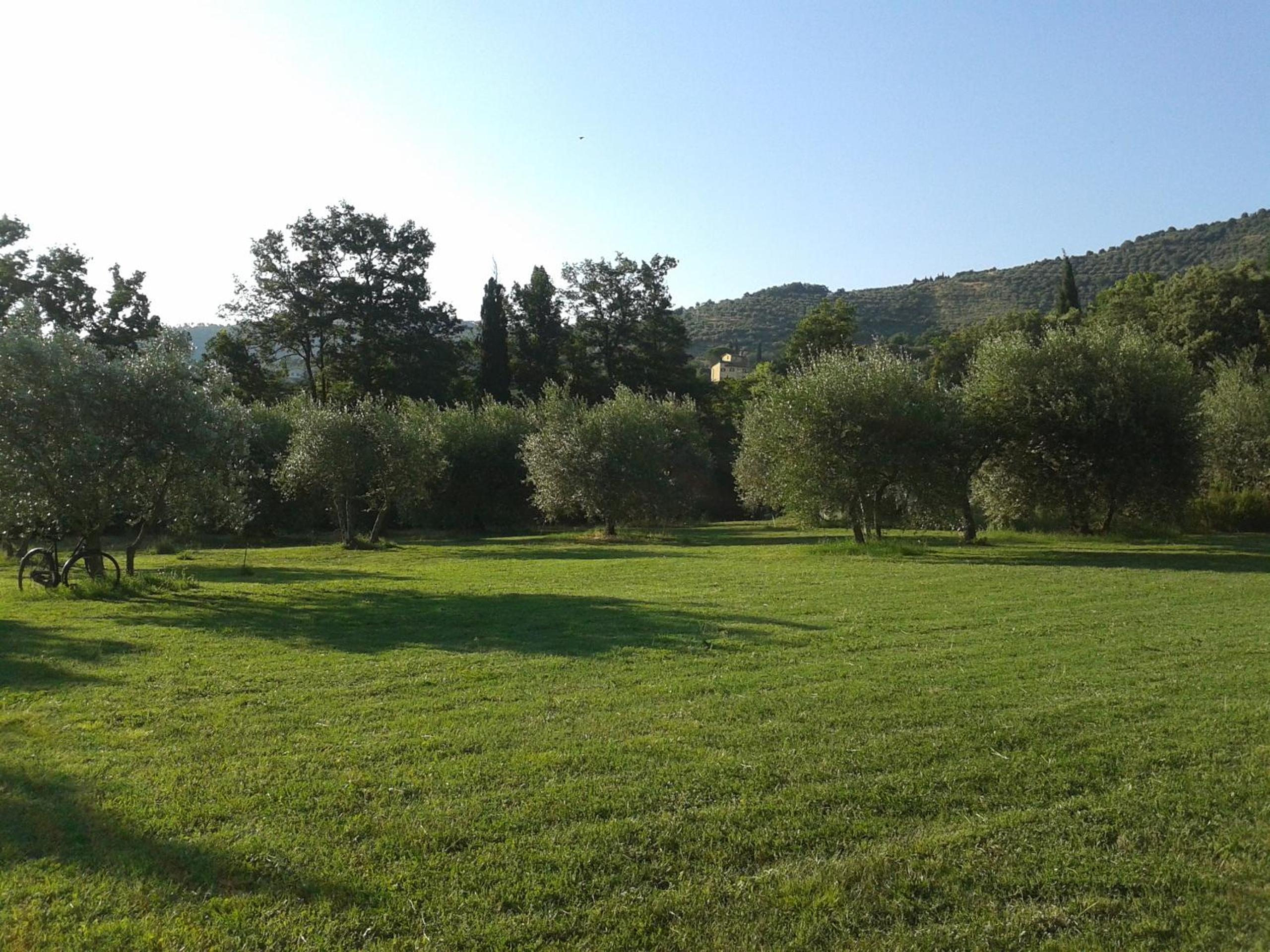Photo 39
