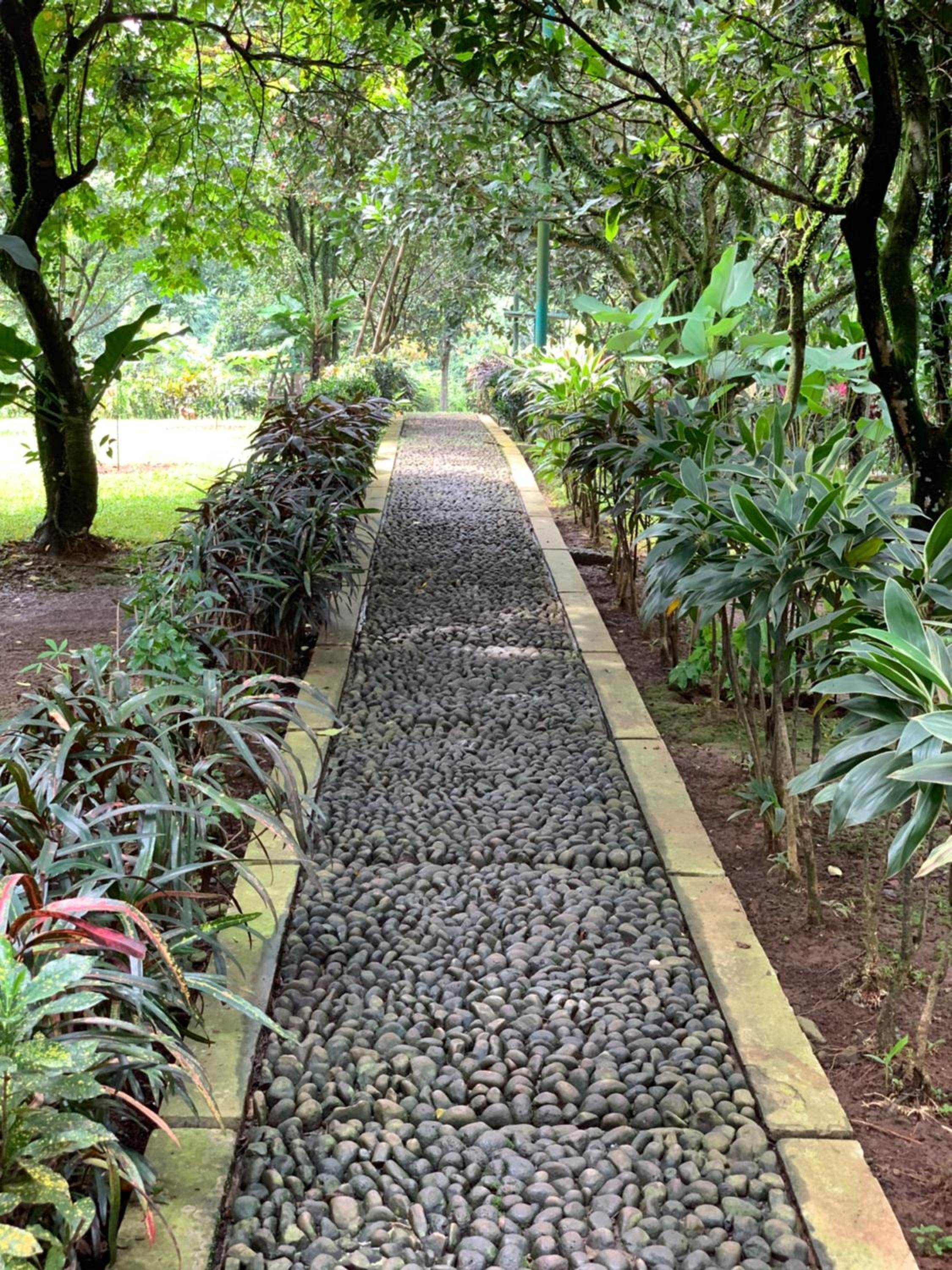 Kampoeng Wisata Rumah Joglo, photo 19