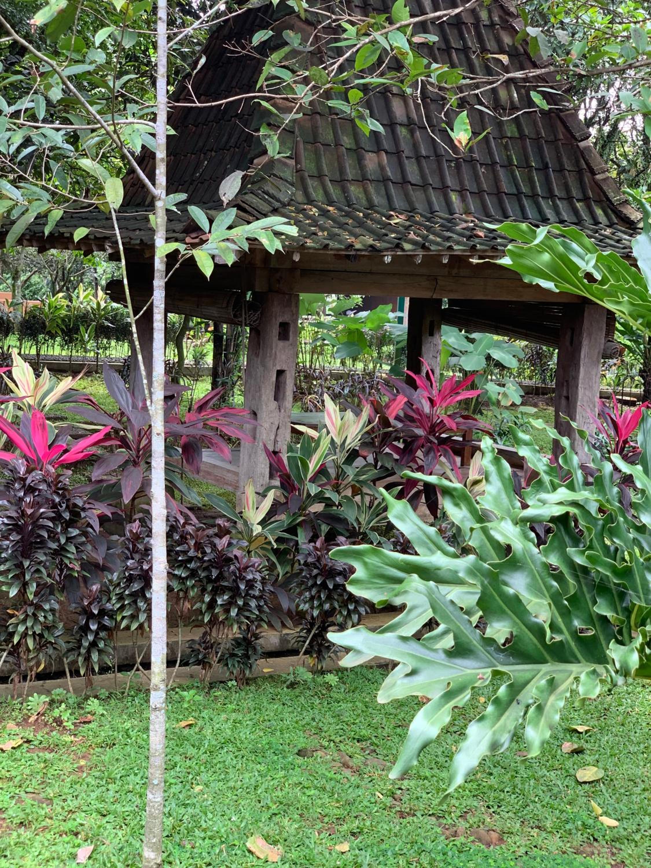 Kampoeng Wisata Rumah Joglo, photo 72