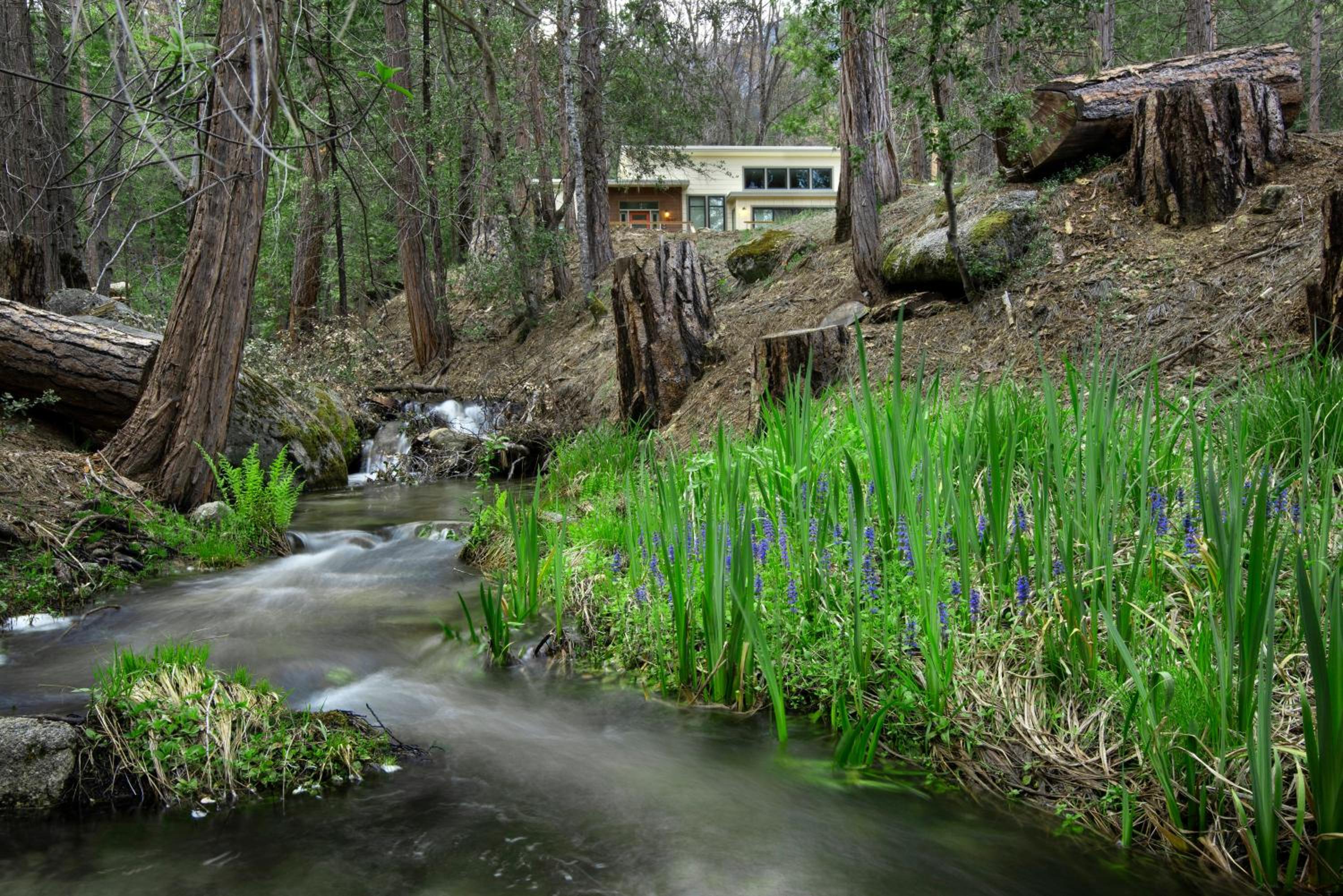 11R Spring Meadow Retreat view 2
