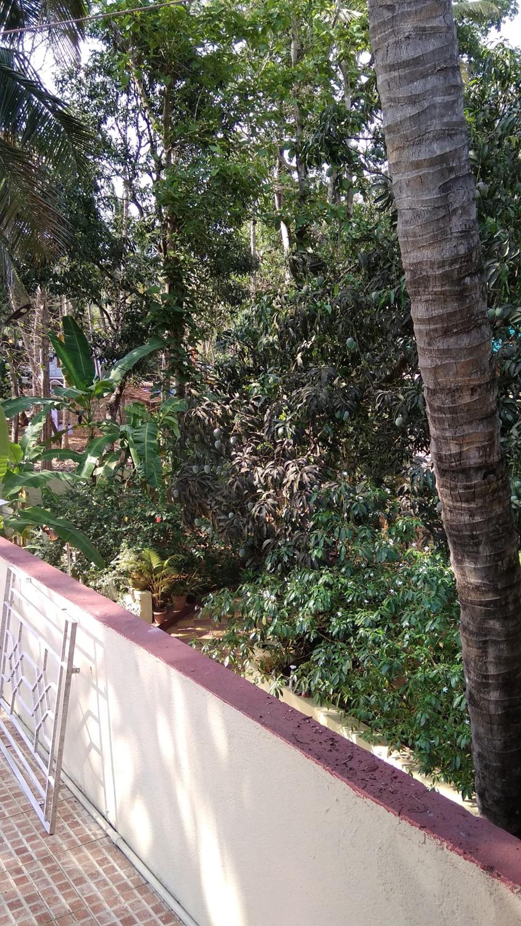 Palolem Apartments