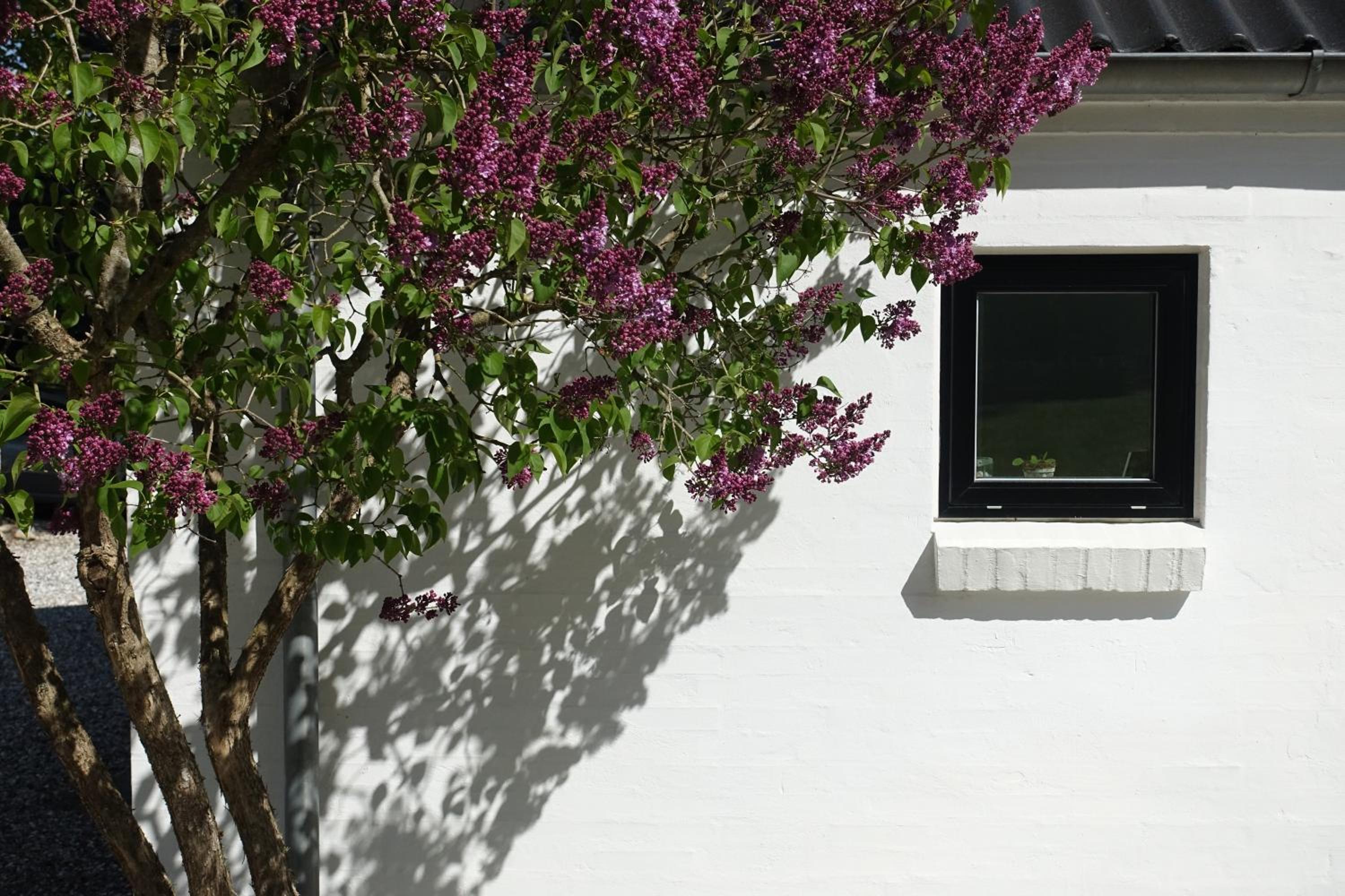 Lillelund bed and breakfast view 5