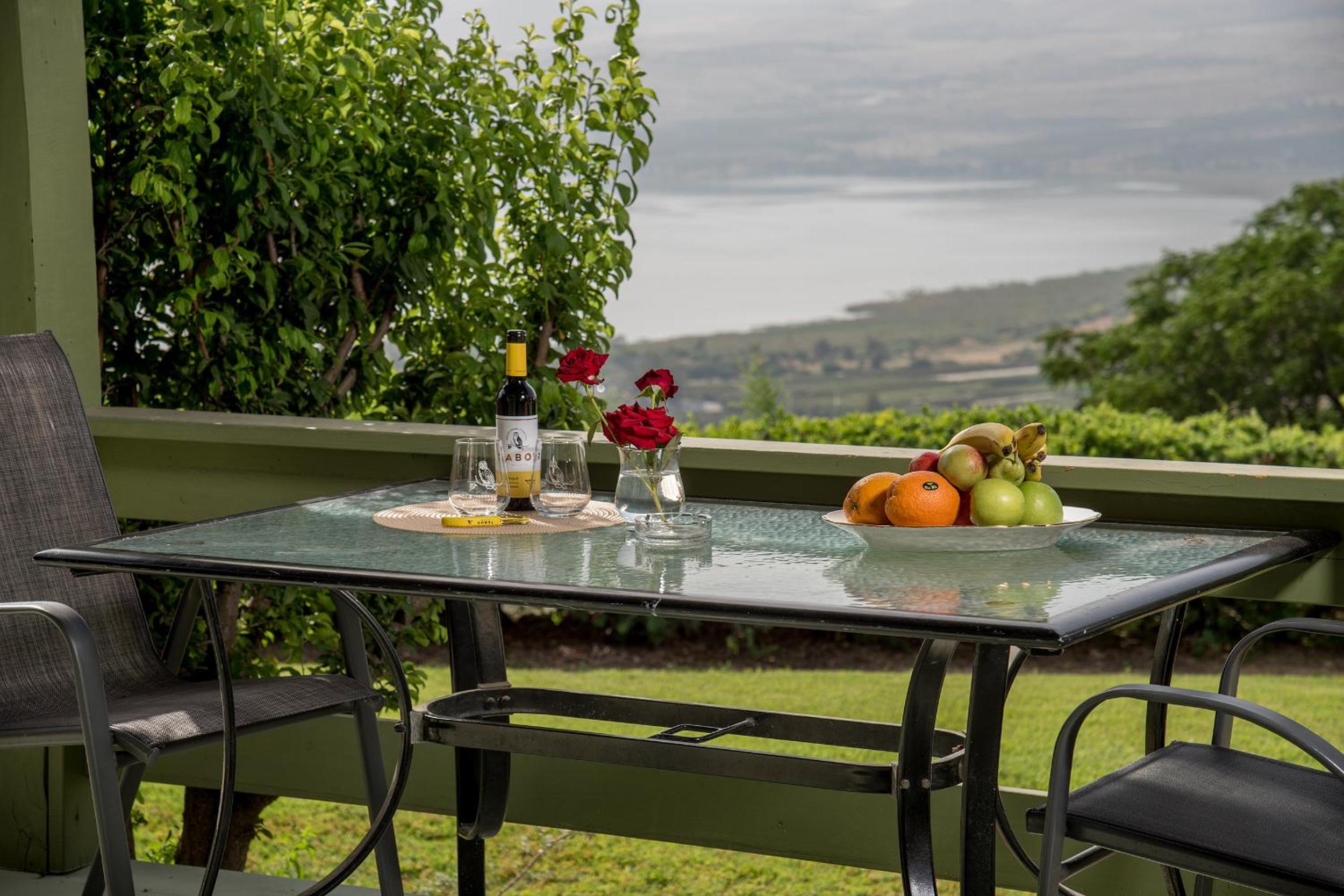 Sea of Galilee Panoramic View