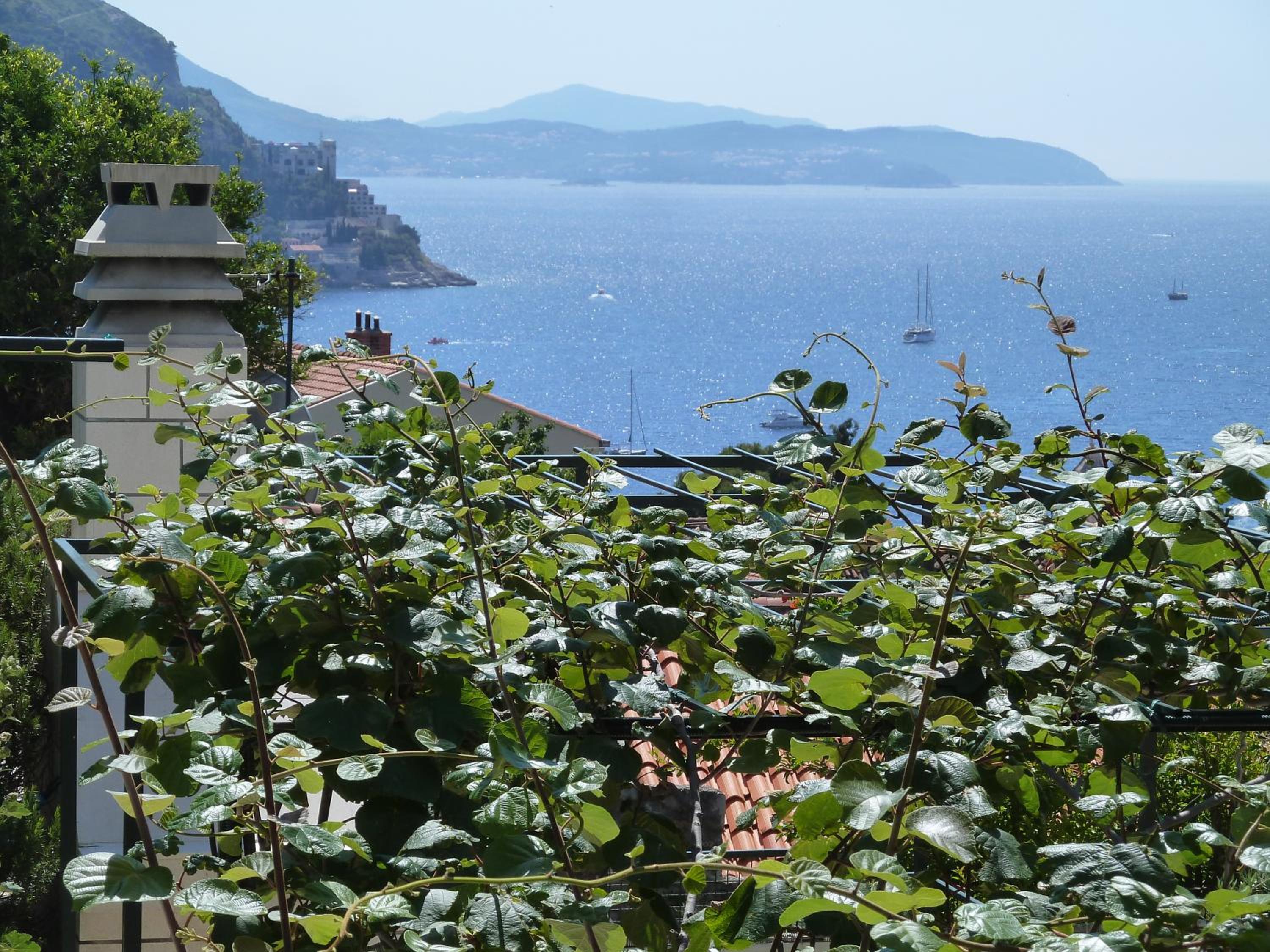 Panoramic apartment Lujak