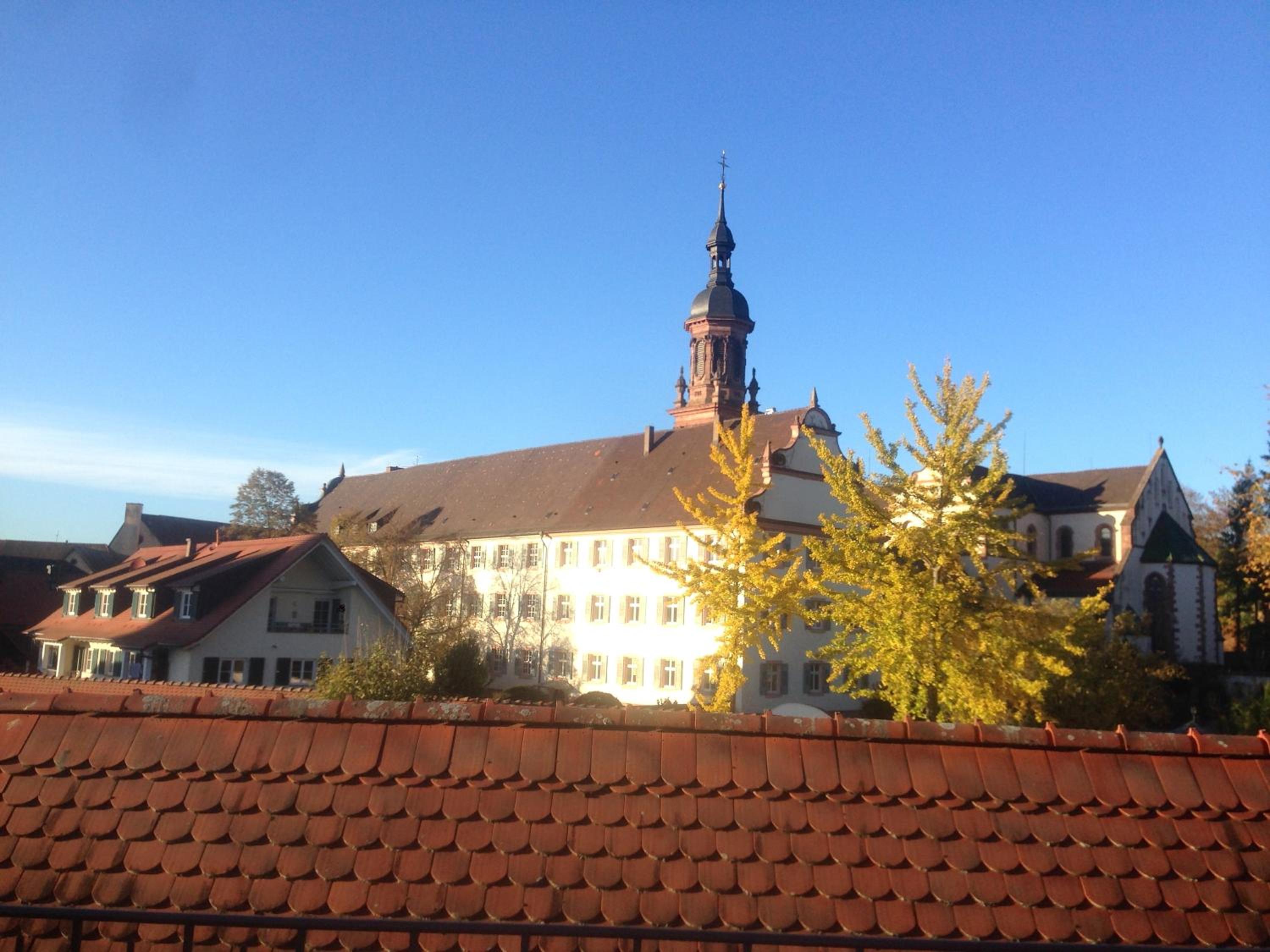 Photo 41