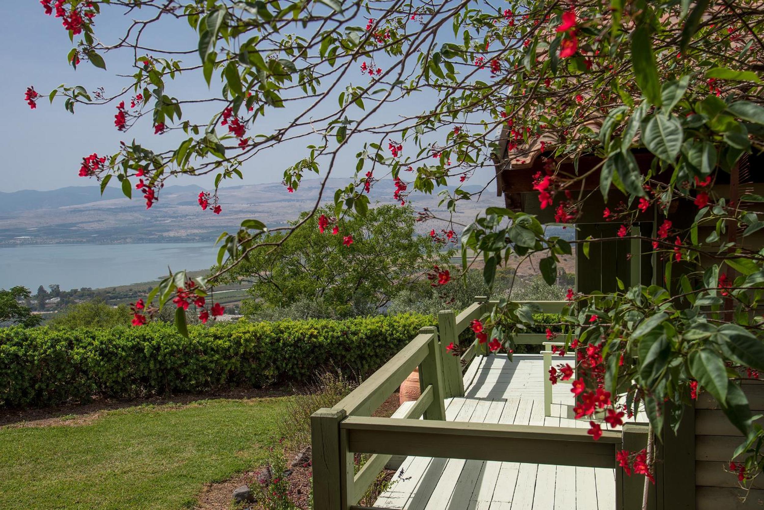 Sea of Galilee Panoramic View