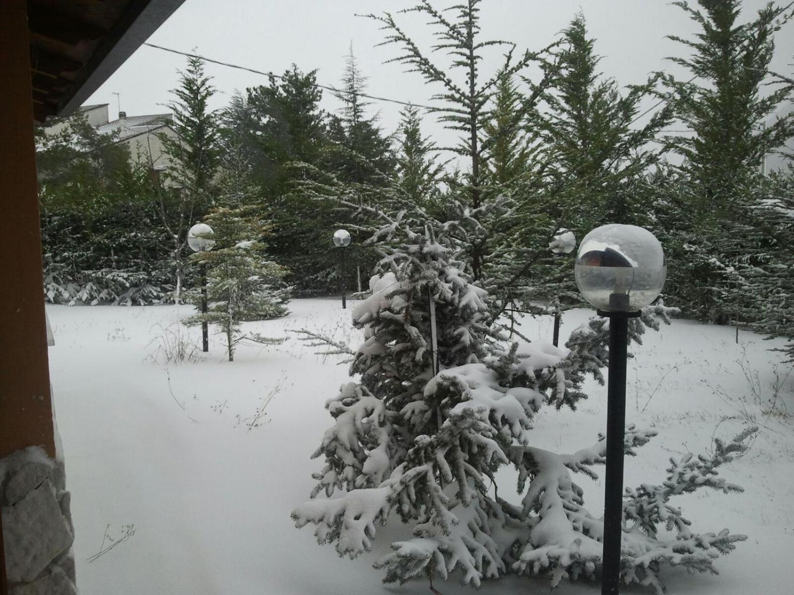 Photo 6