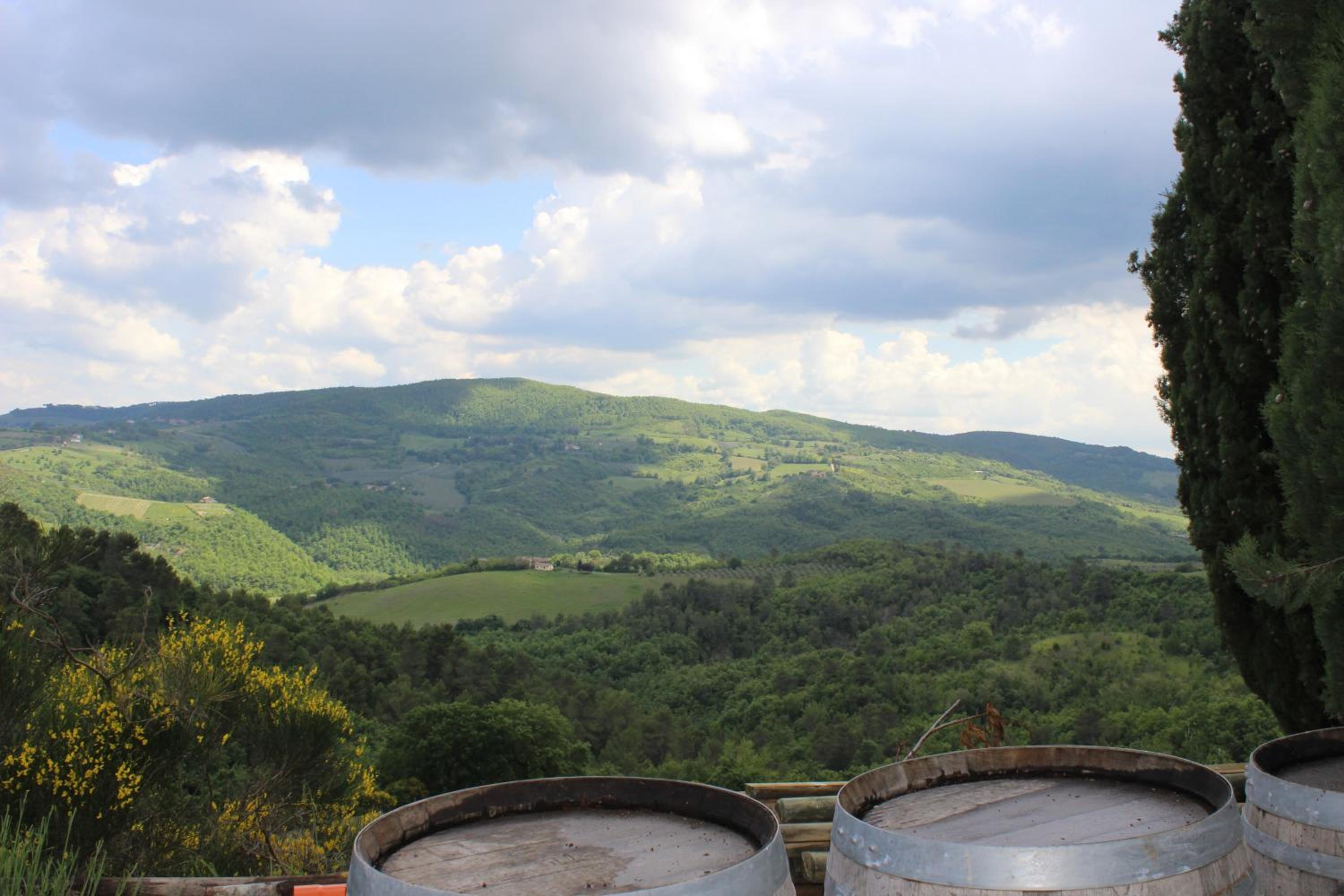Agriturismo Fattoria di Monticello view 3