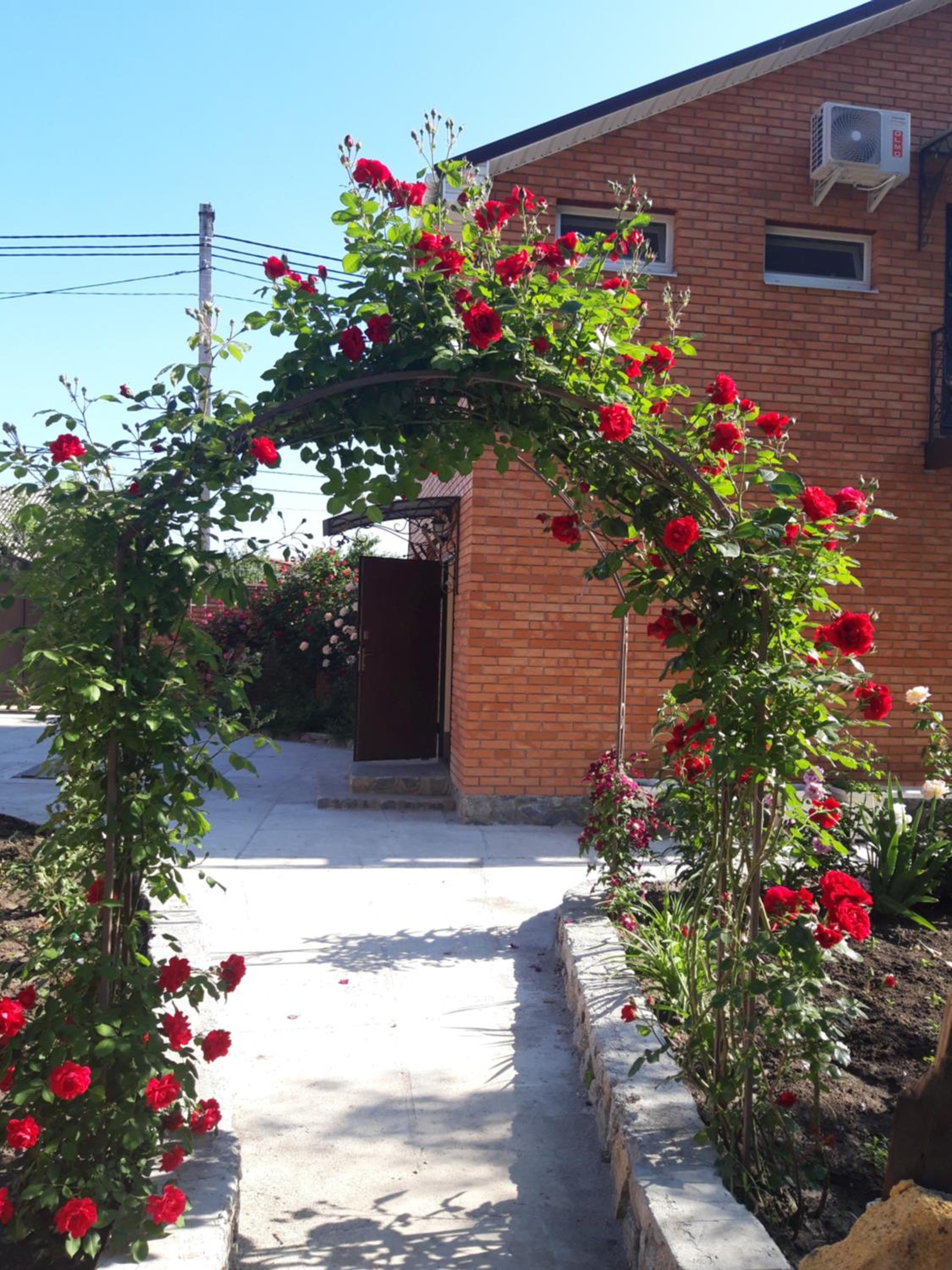 Photo 7