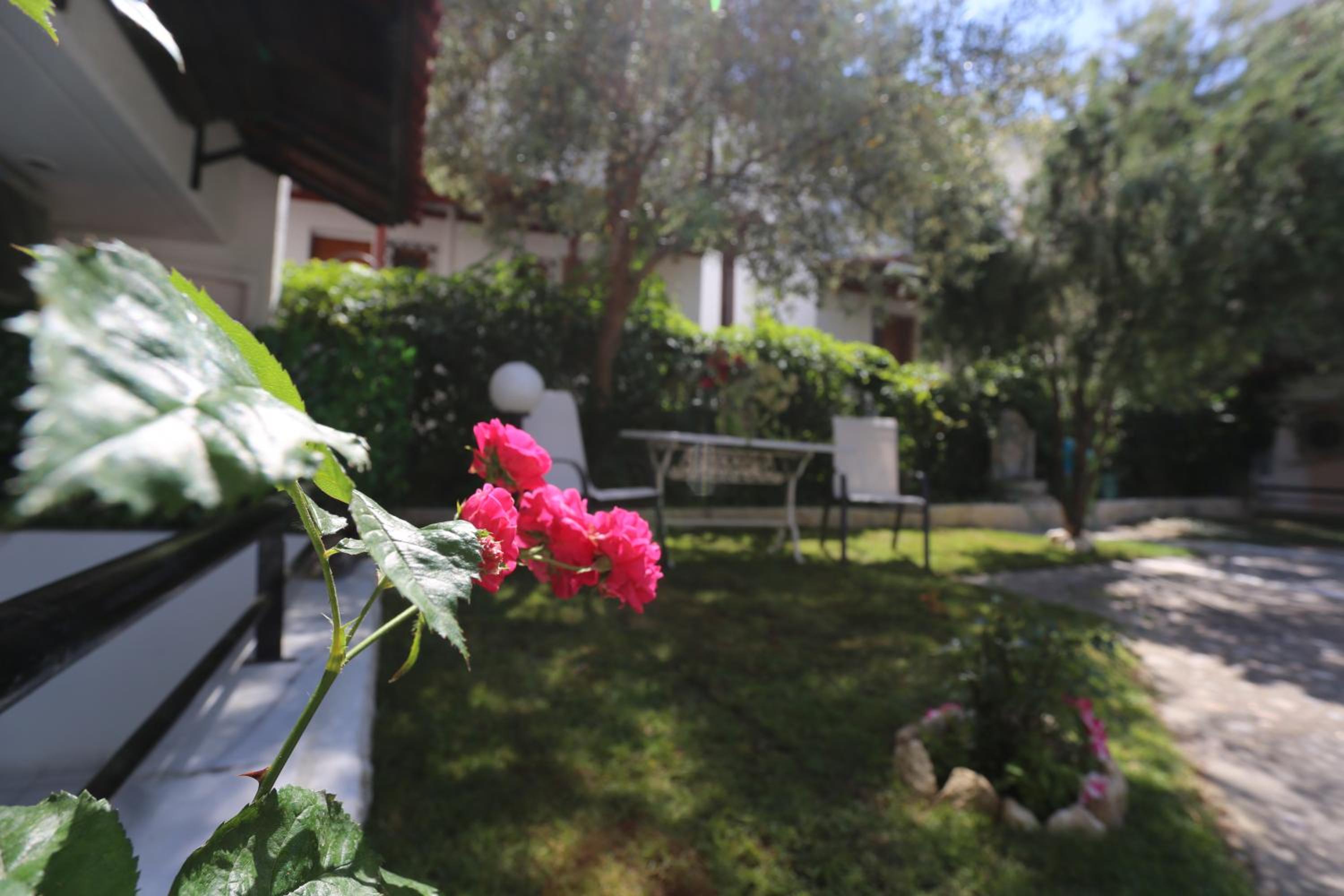 Photo 31
