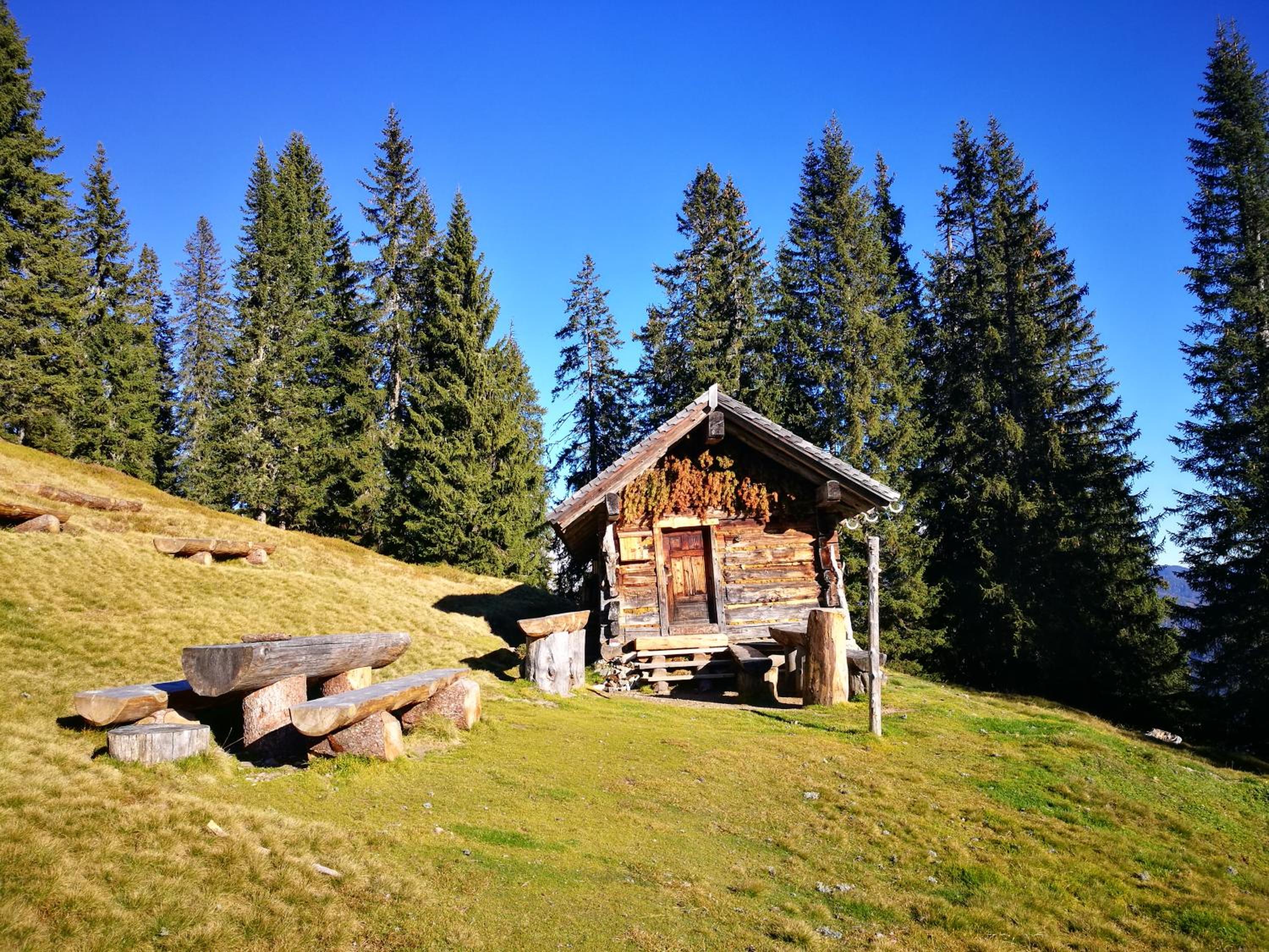 Photo 43