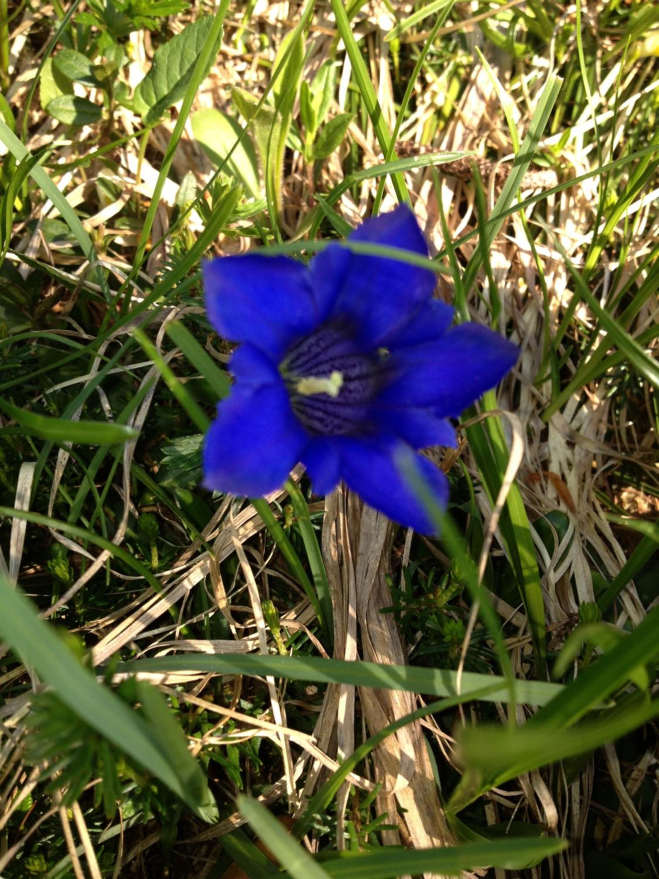 Photo 32