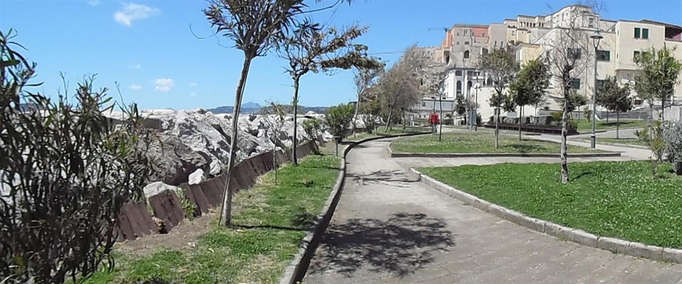 Photo 23