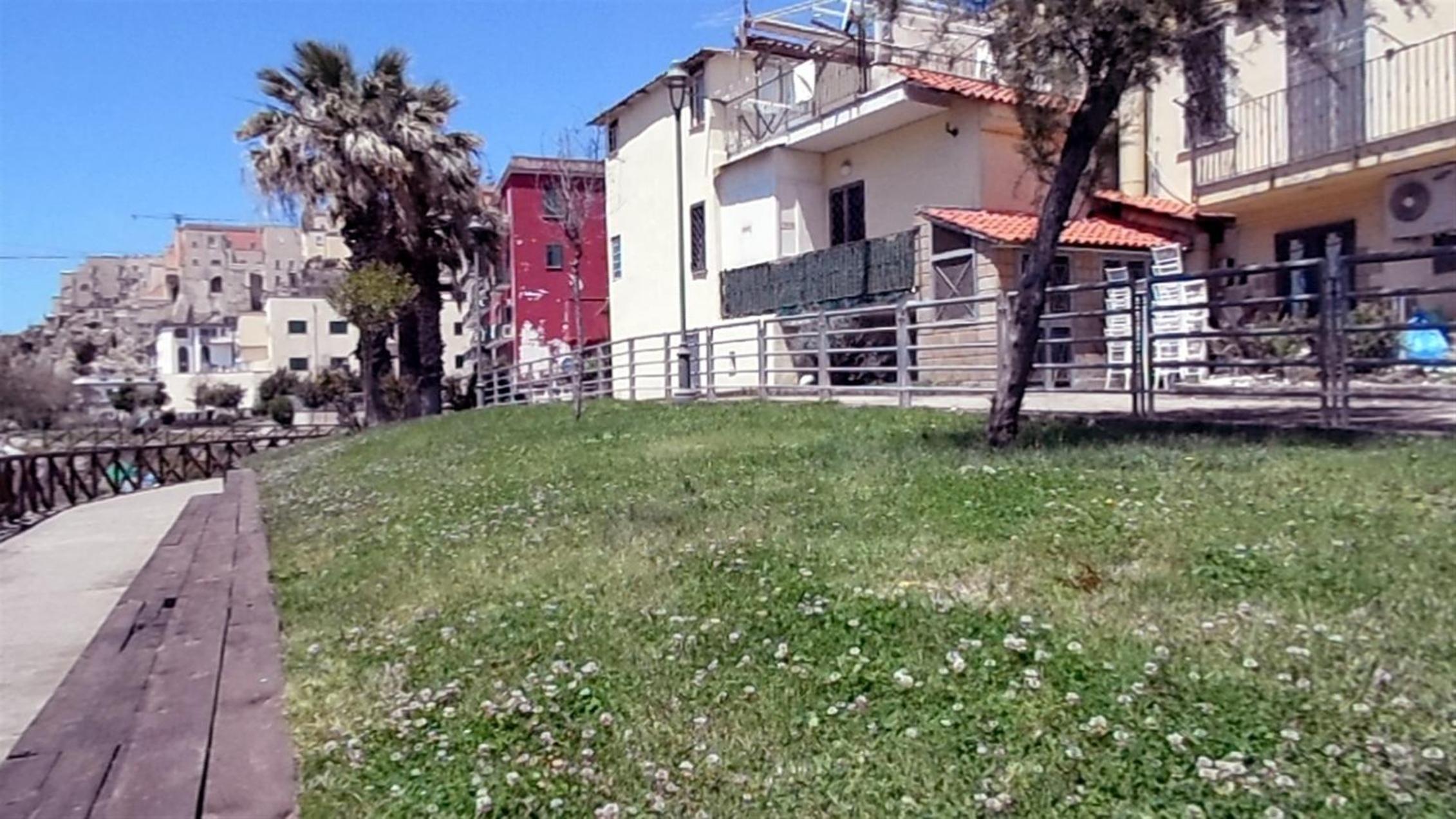 Photo 31
