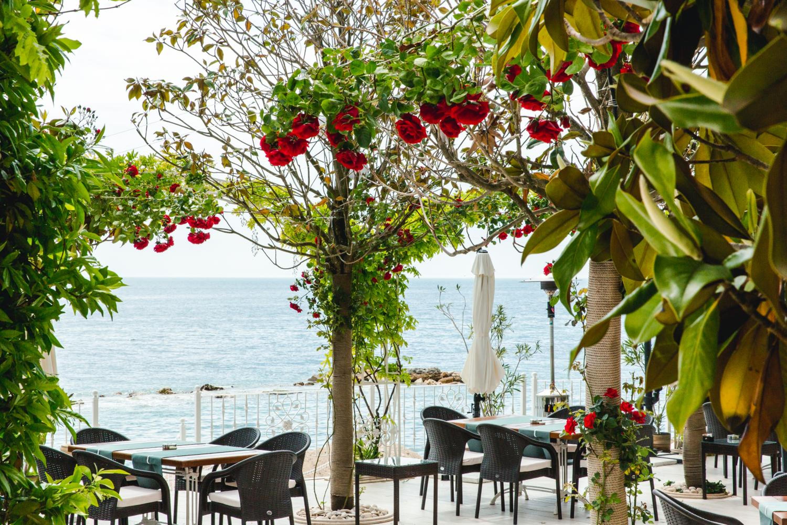 Luxury Vue sur La Mer