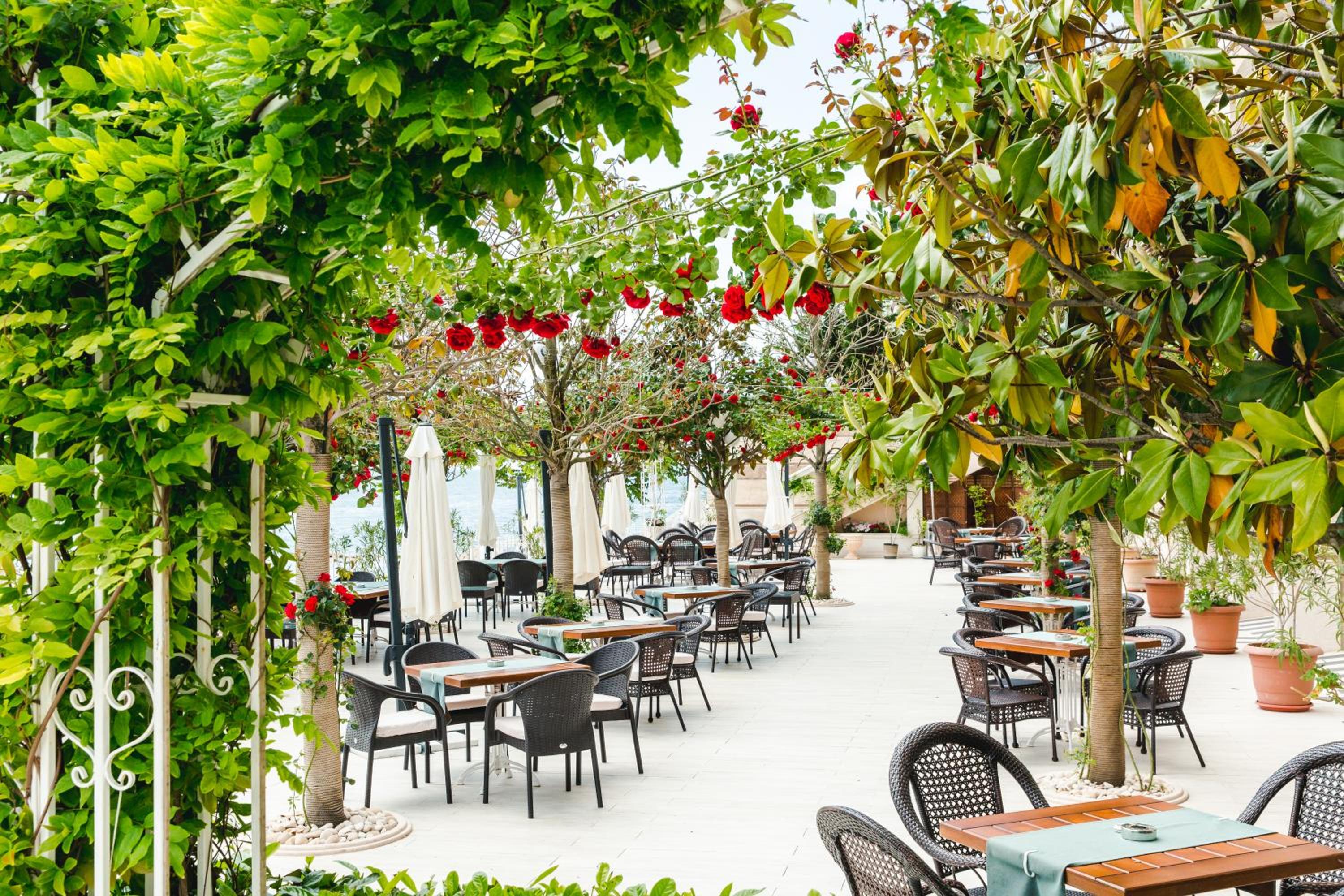 Luxury Vue sur La Mer