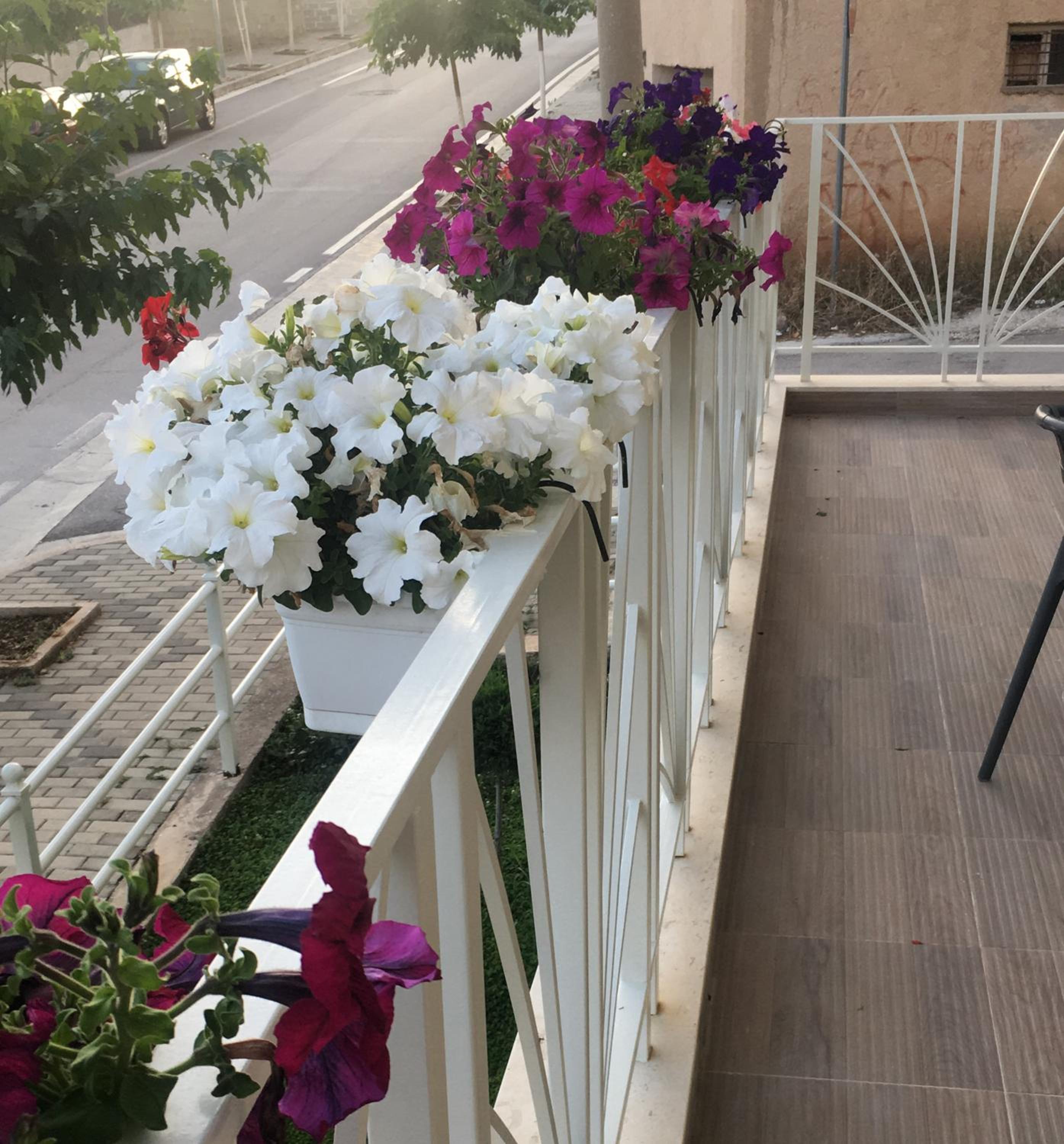 Sunrise Luxury Apartments, photo 33