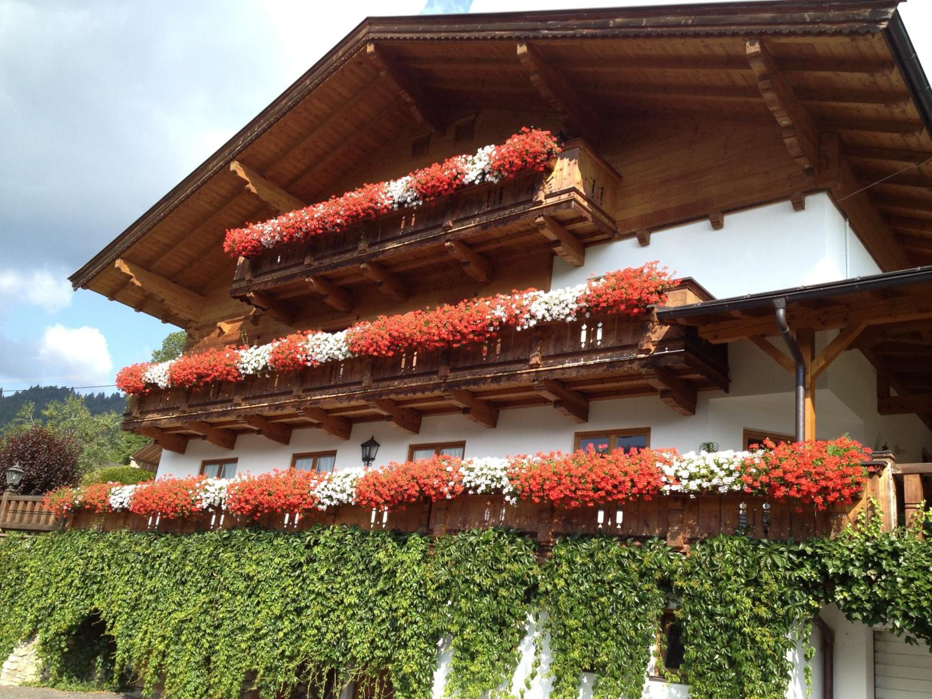 Photo 40