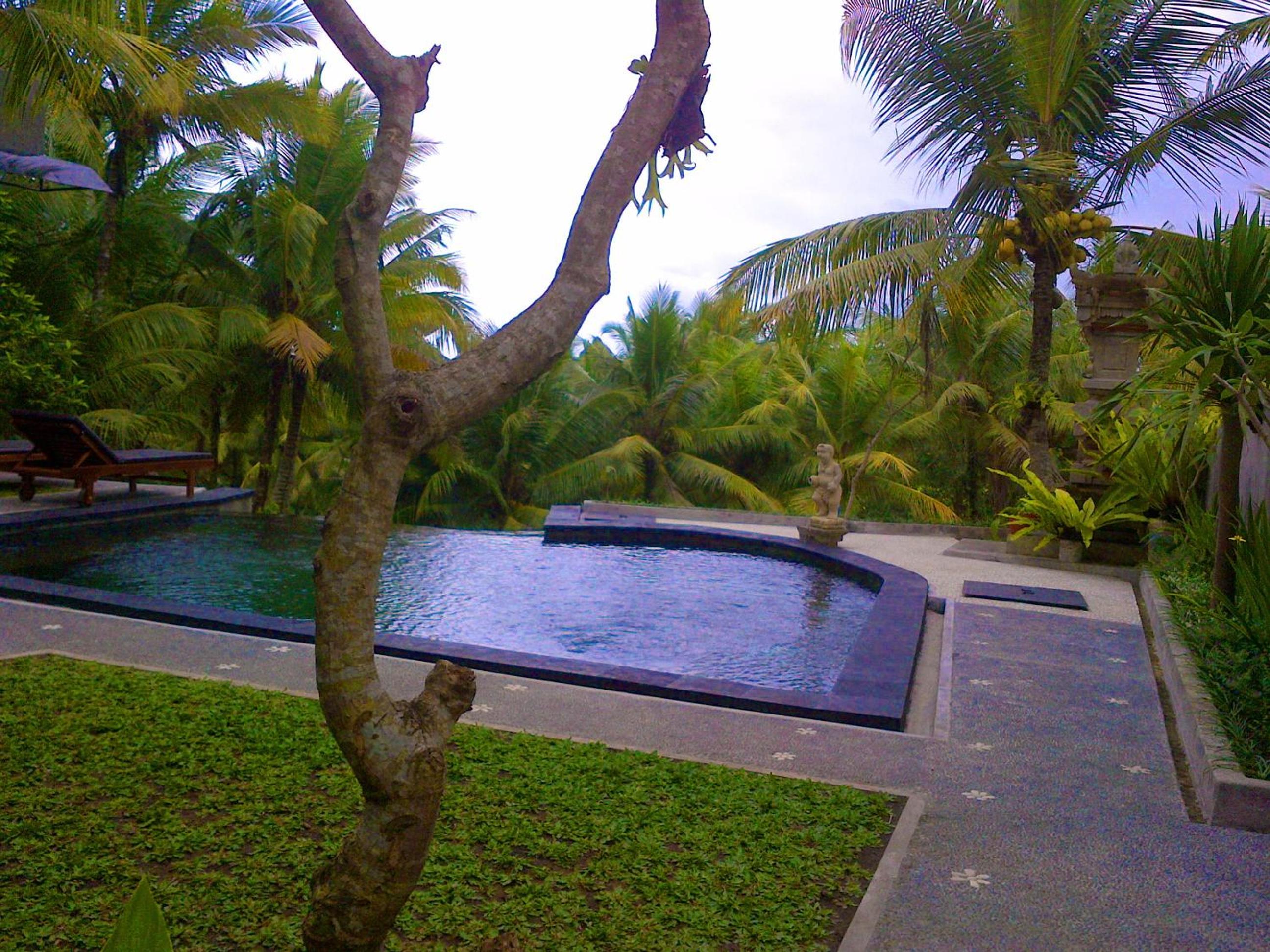 Dewa House Bisma view 2