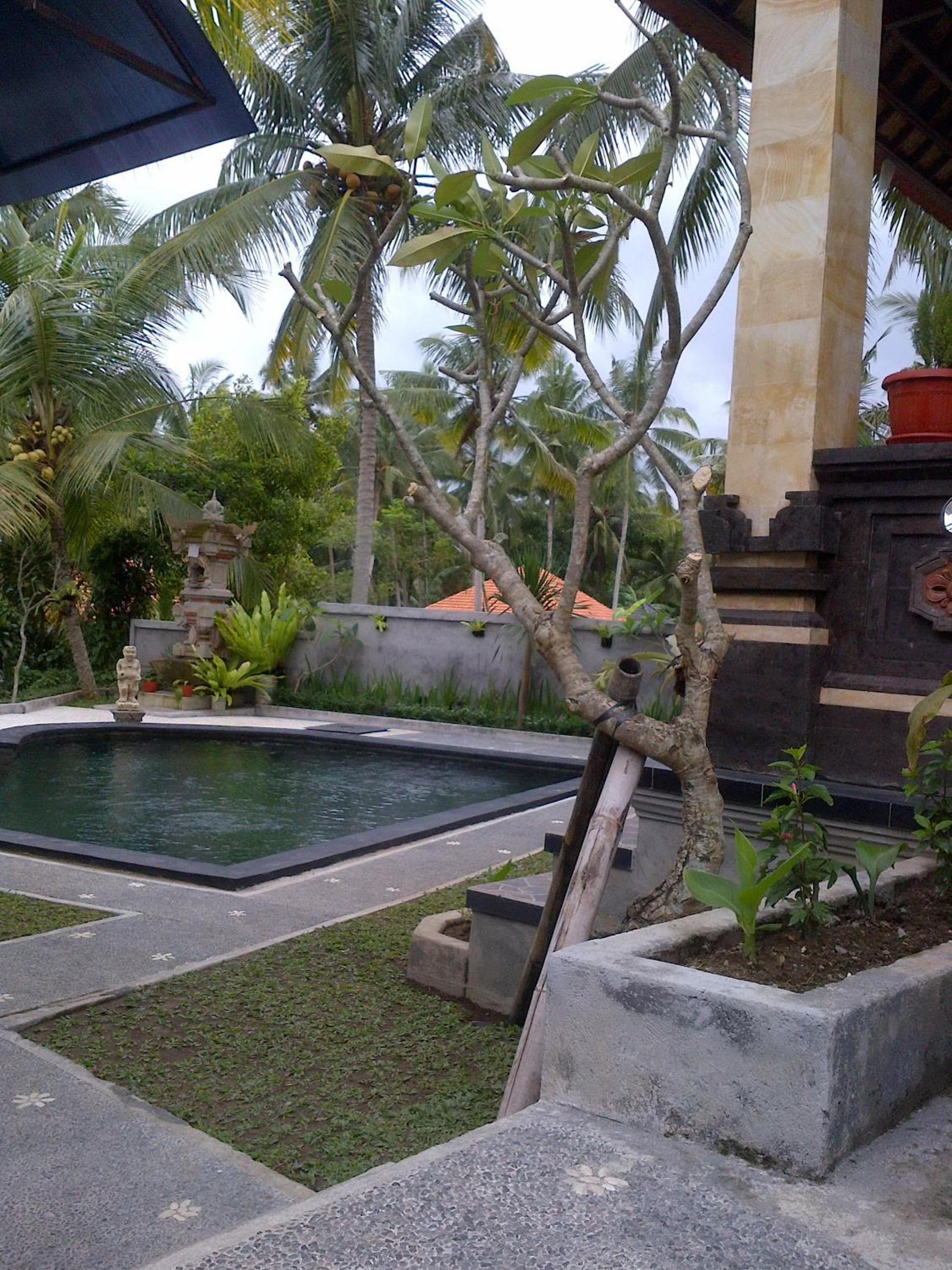 Dewa House Bisma view 4