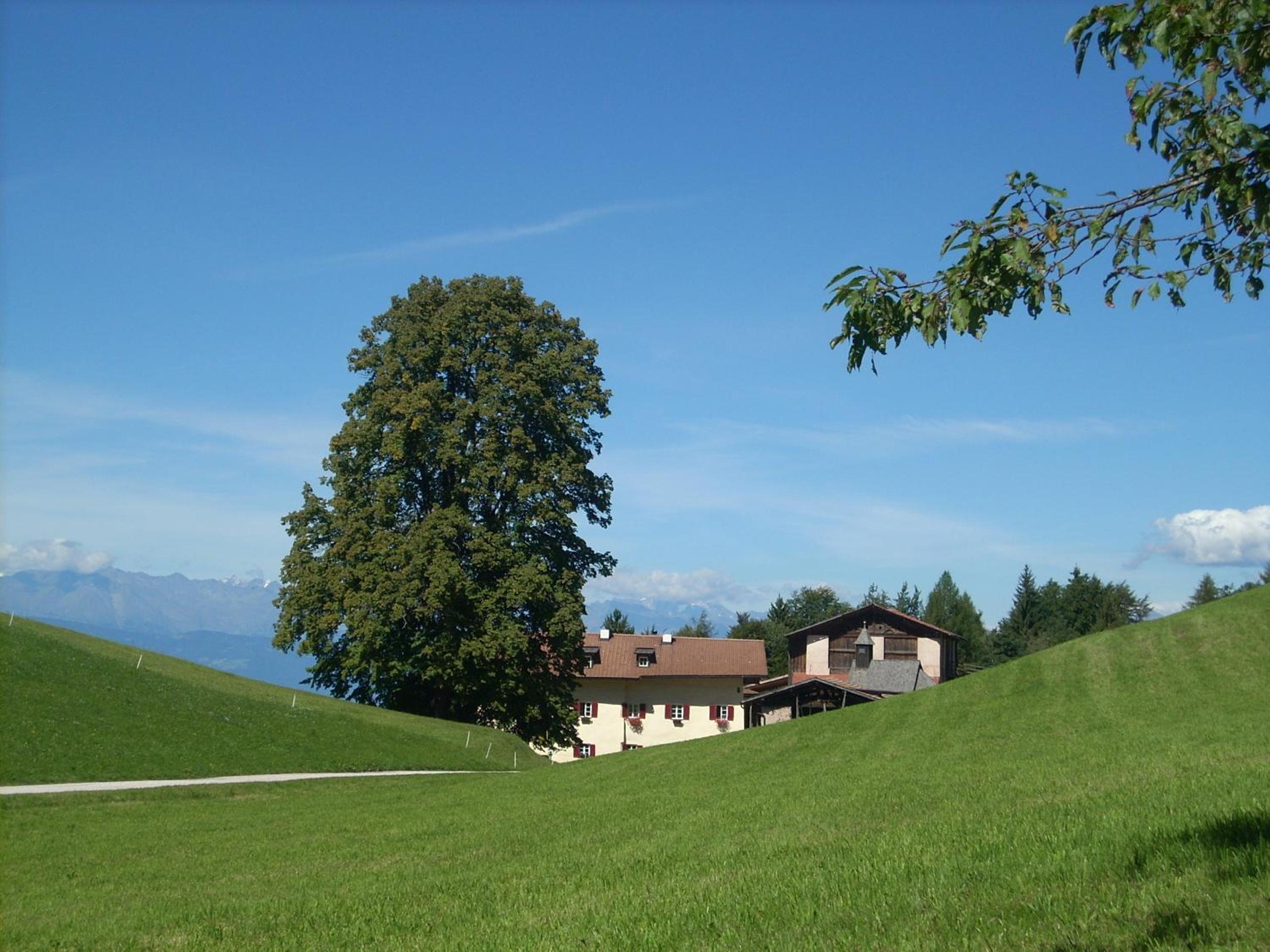Photo 40