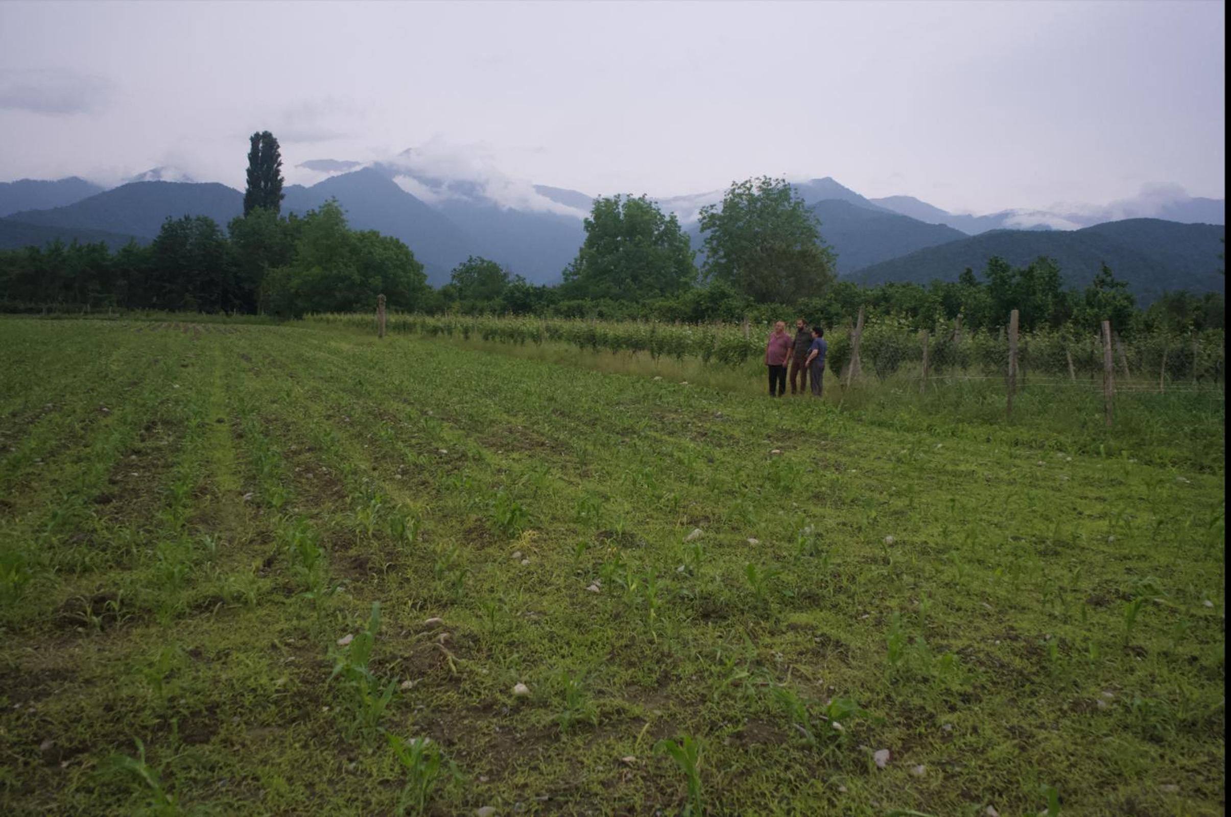 Photo 8