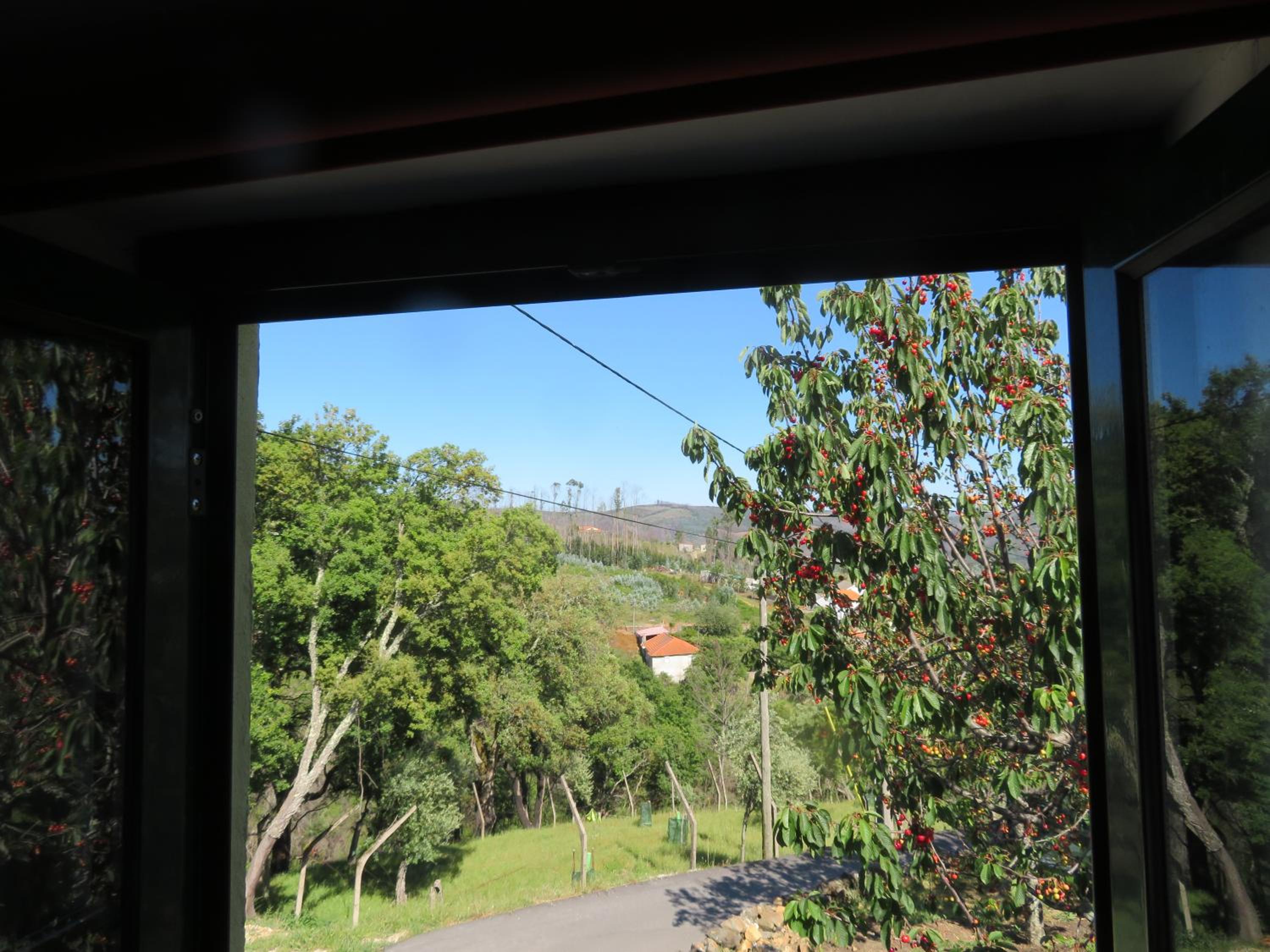 Photo 24