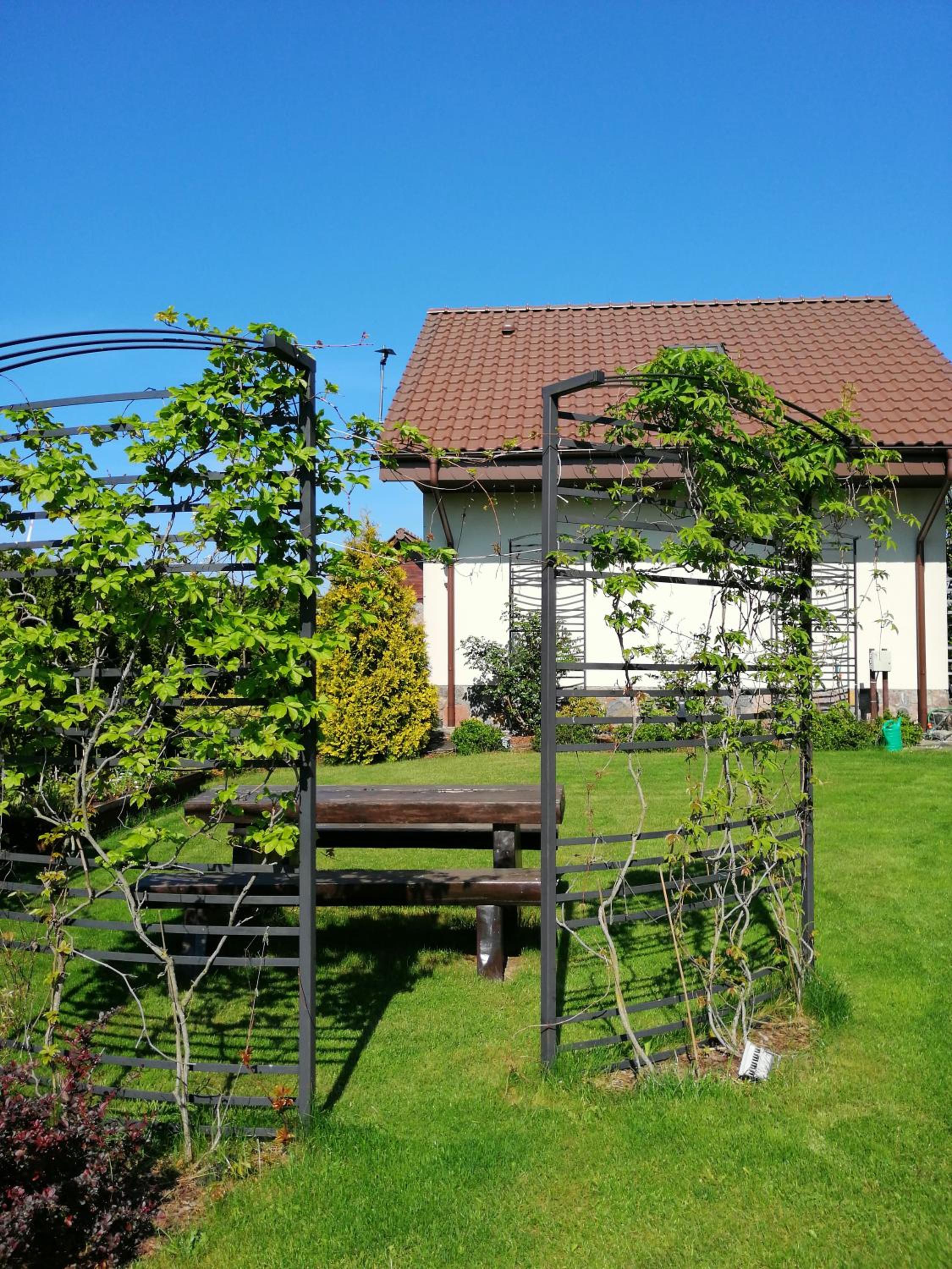 Photo 43