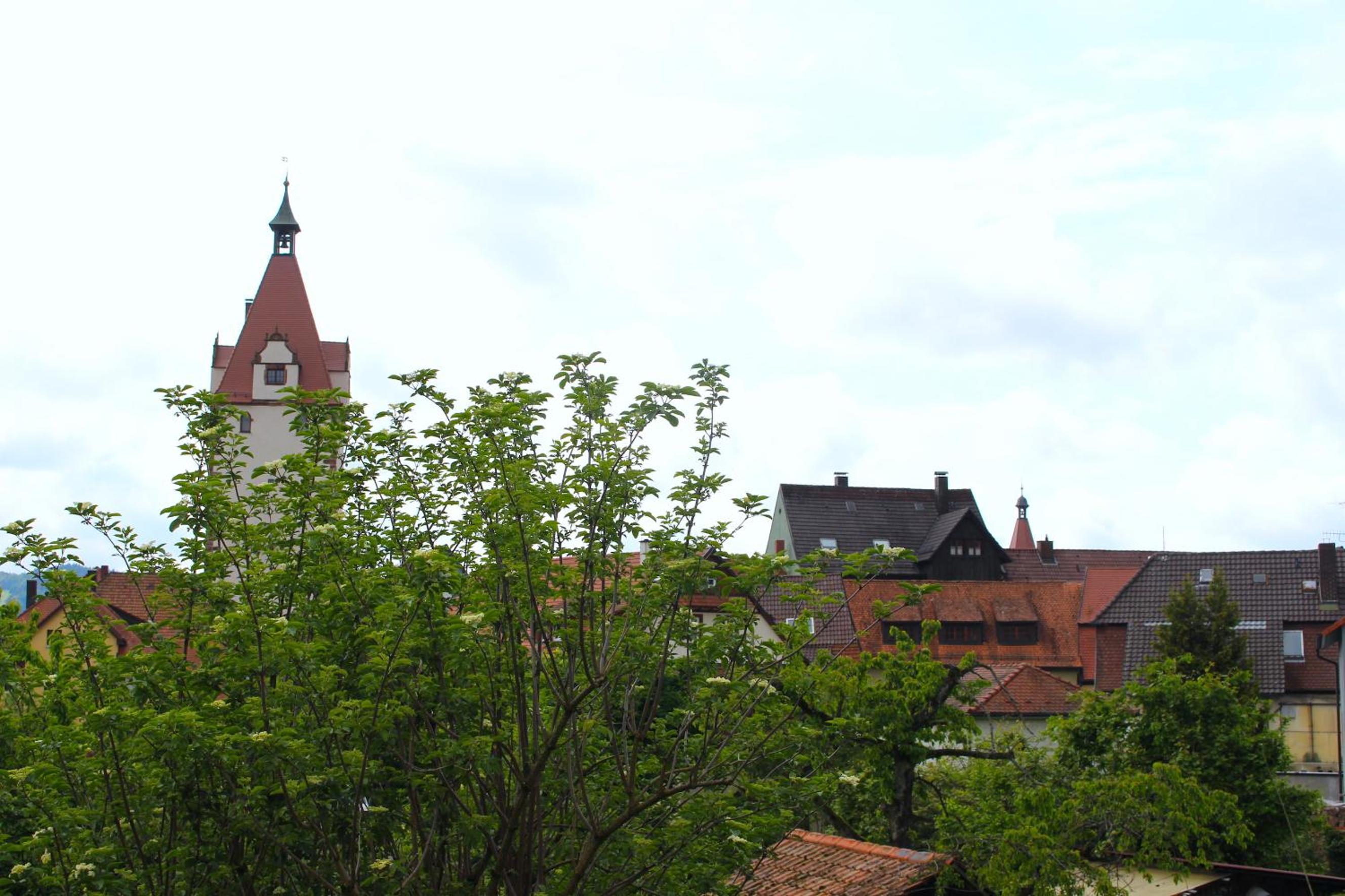 Photo 23