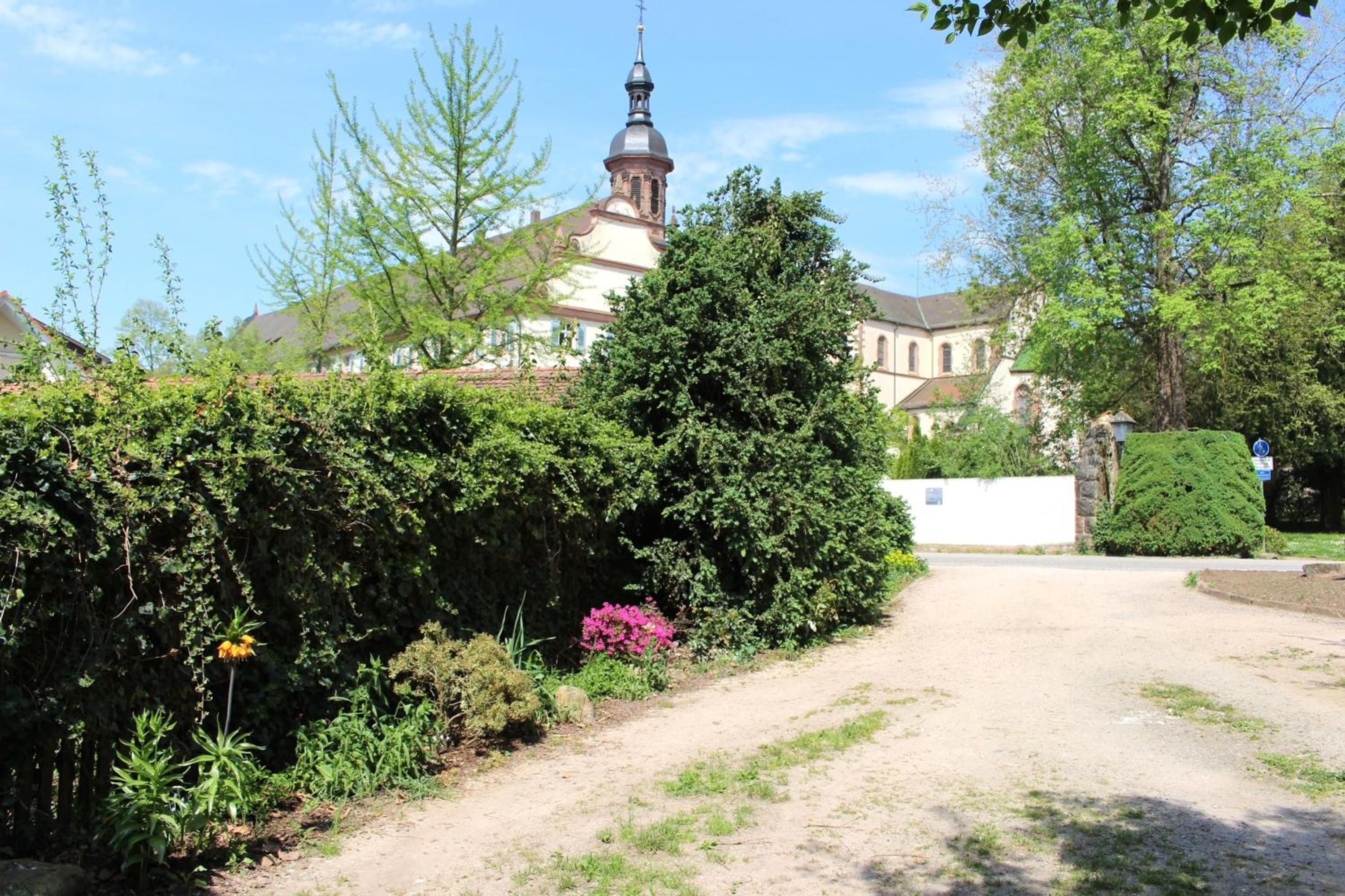 Photo 27