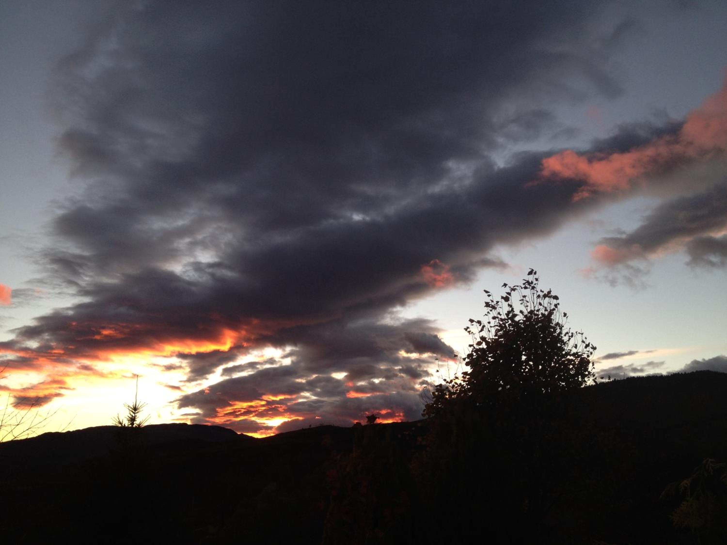 Photo 48