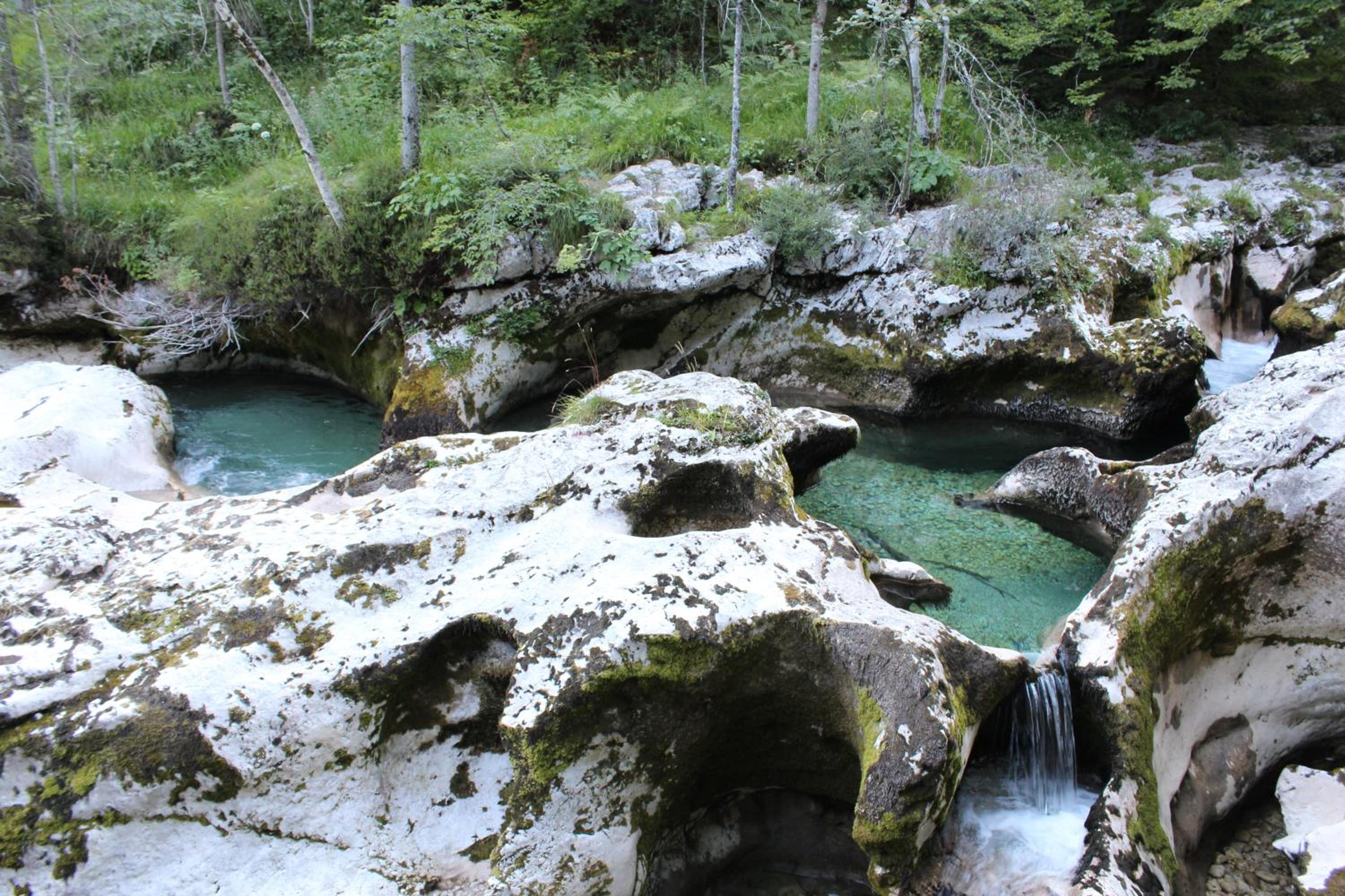 Photo 41