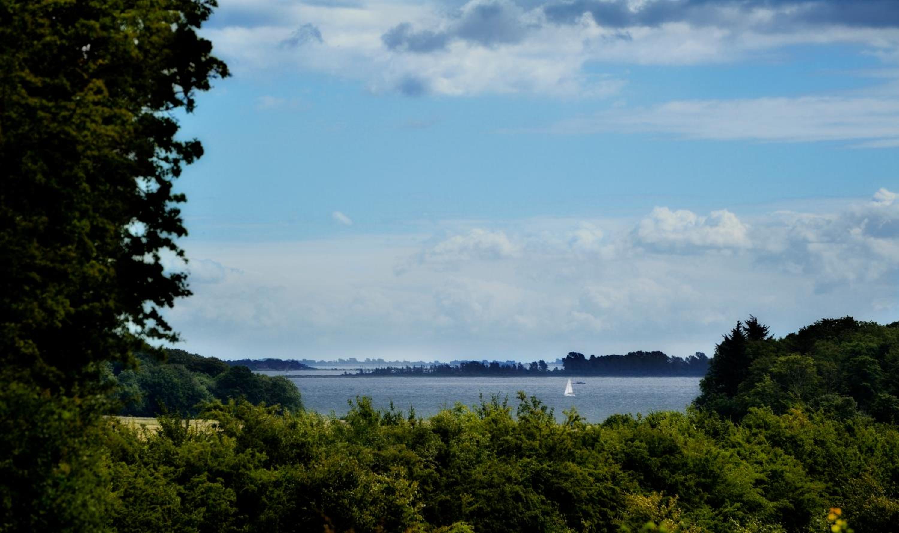Bed & Breakfast Horsens - Udsigten