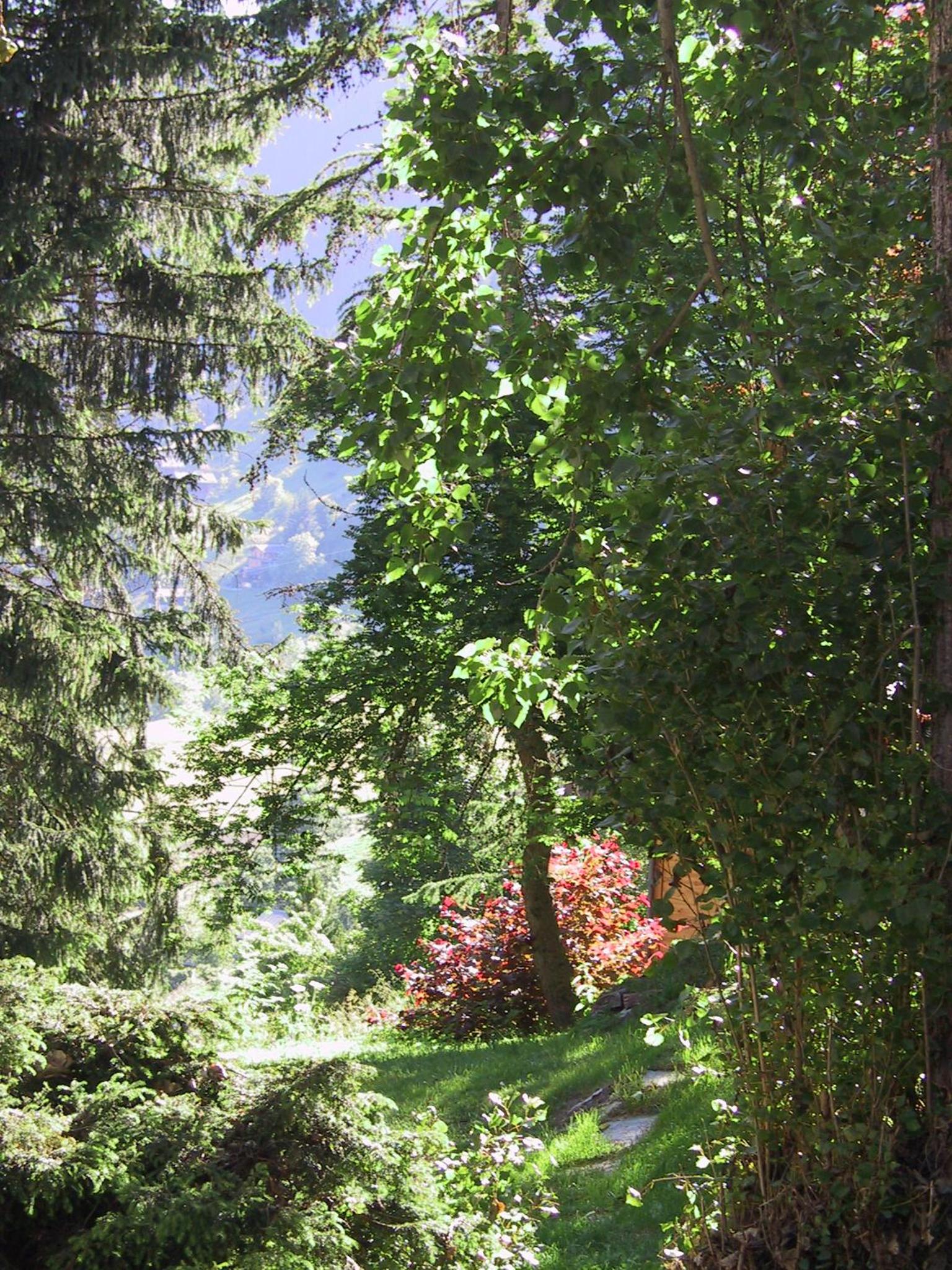 Photo 47