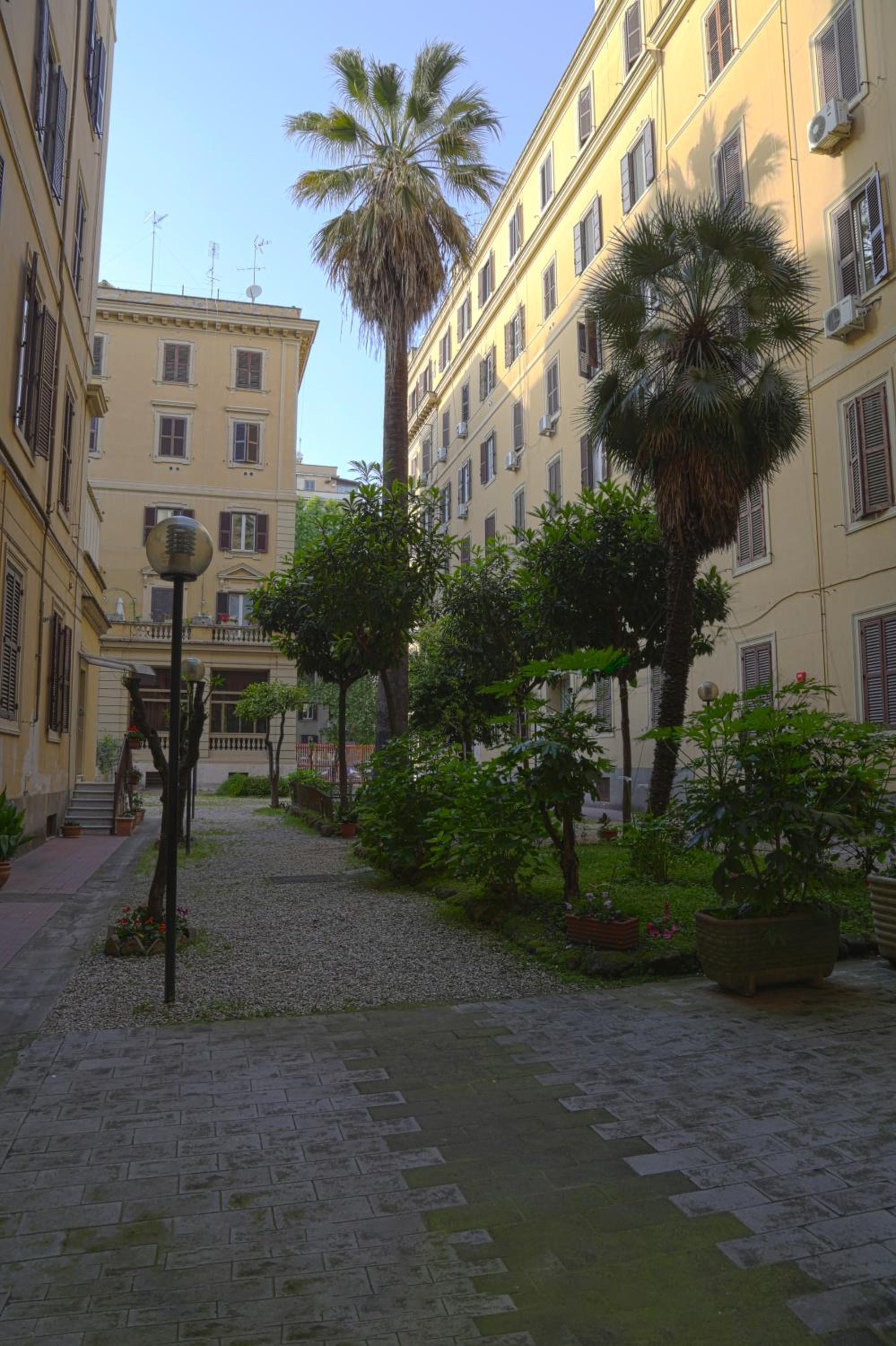New Design St.Peter en Rome — other