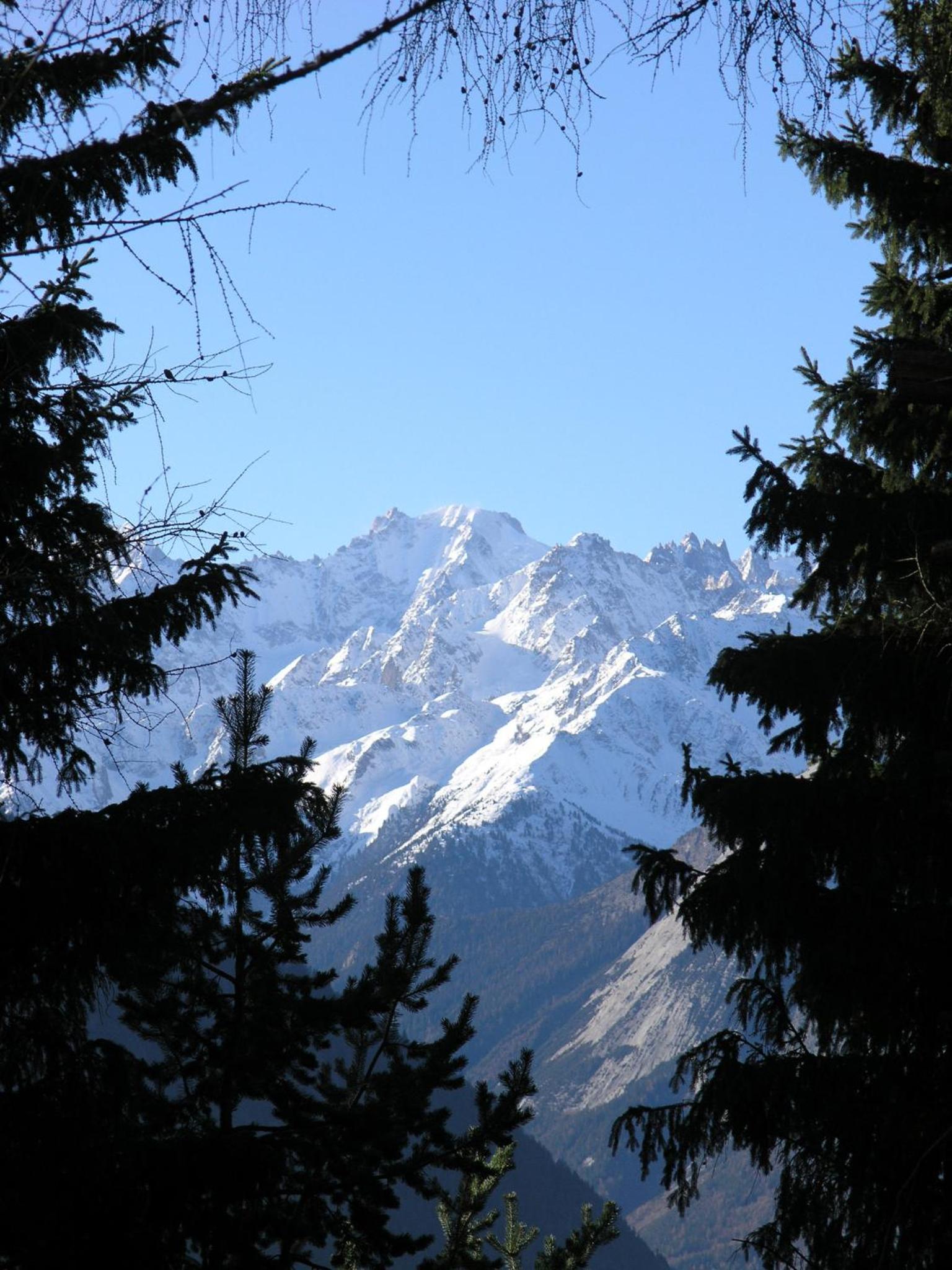 Photo 48
