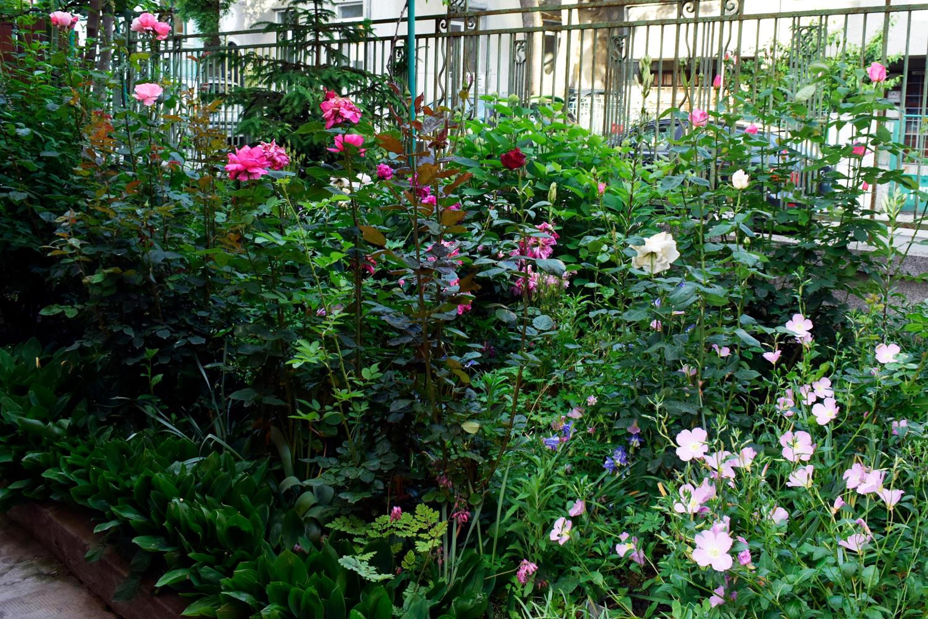 Sea Garden
