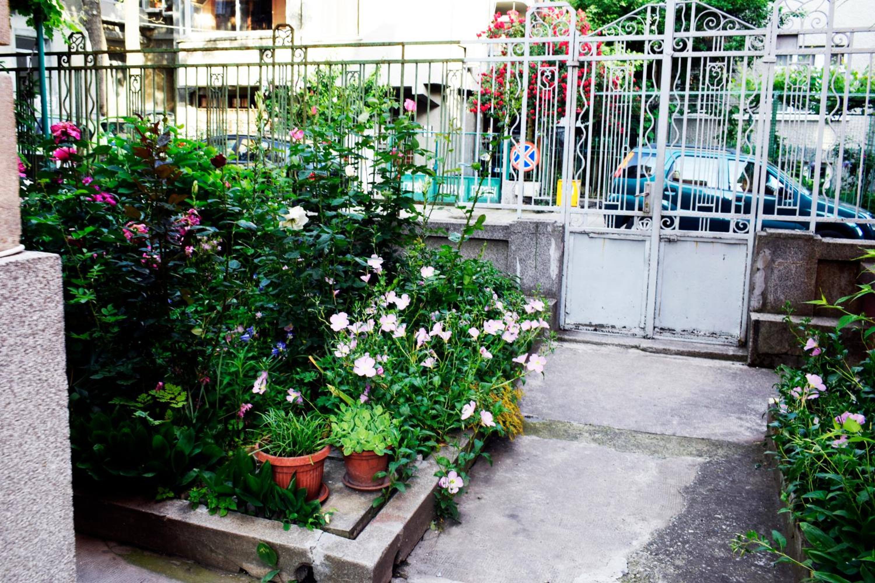 Sea Garden