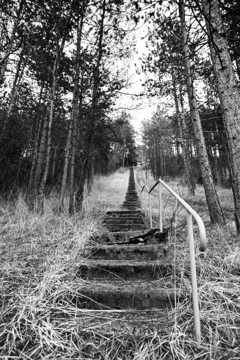 Photo 43