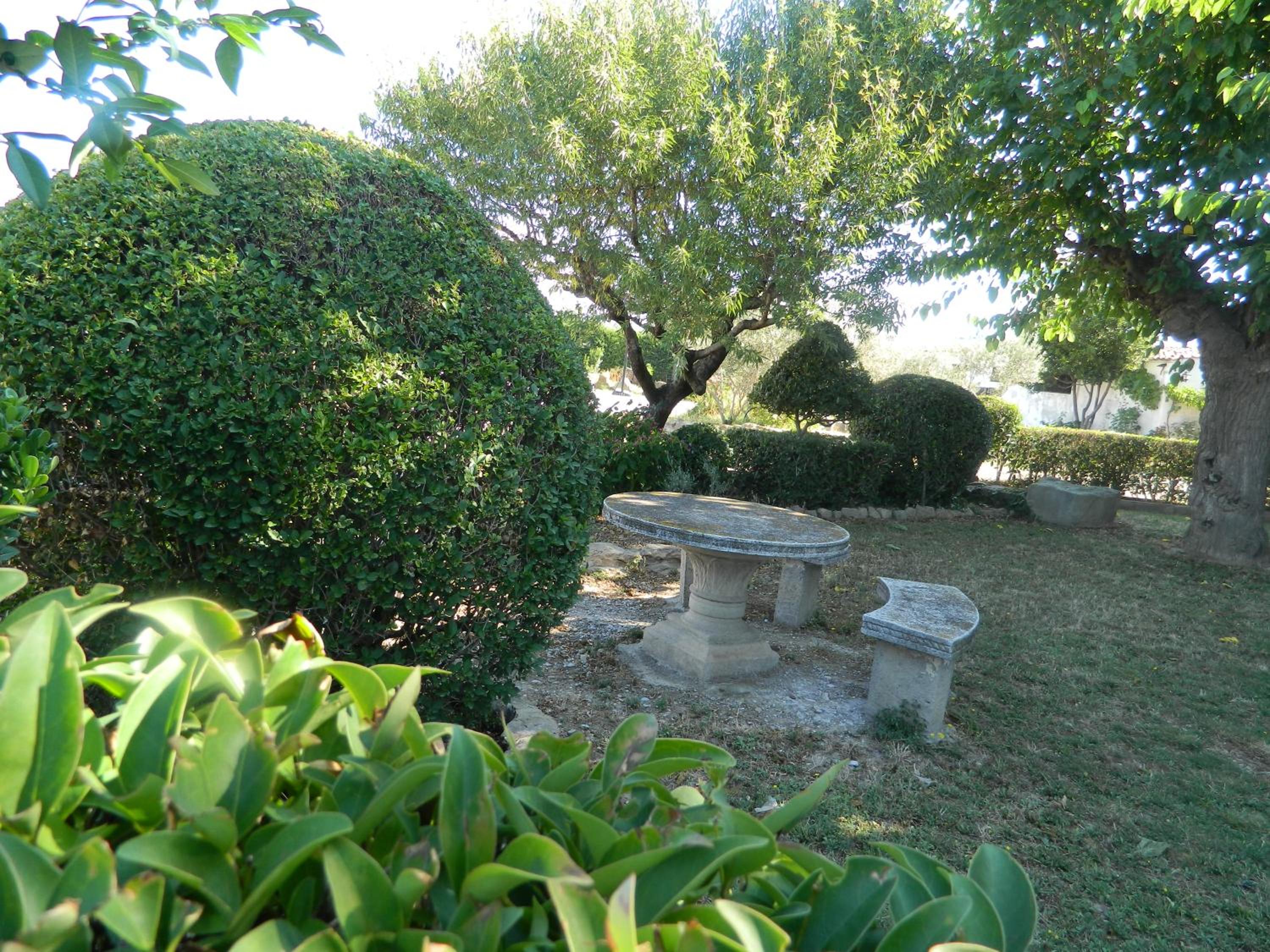 Photo 19