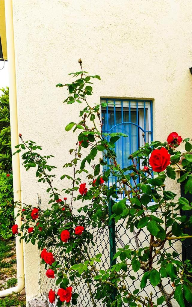 Idillio Country House