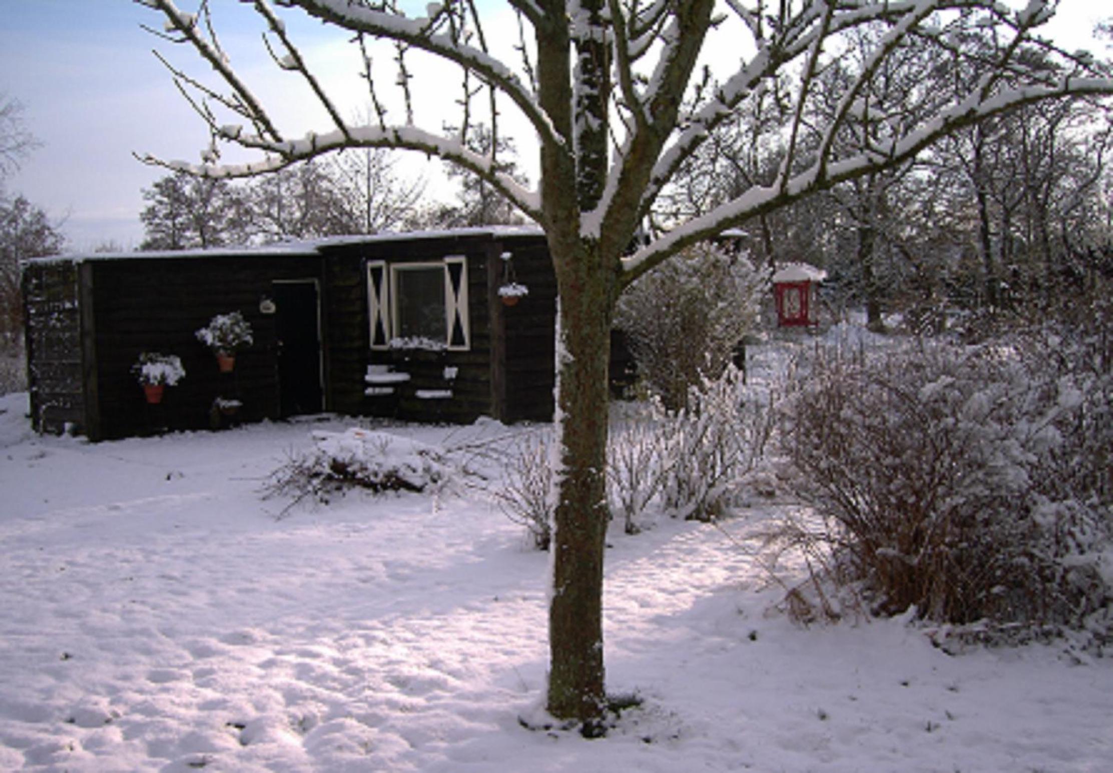 Photo 30