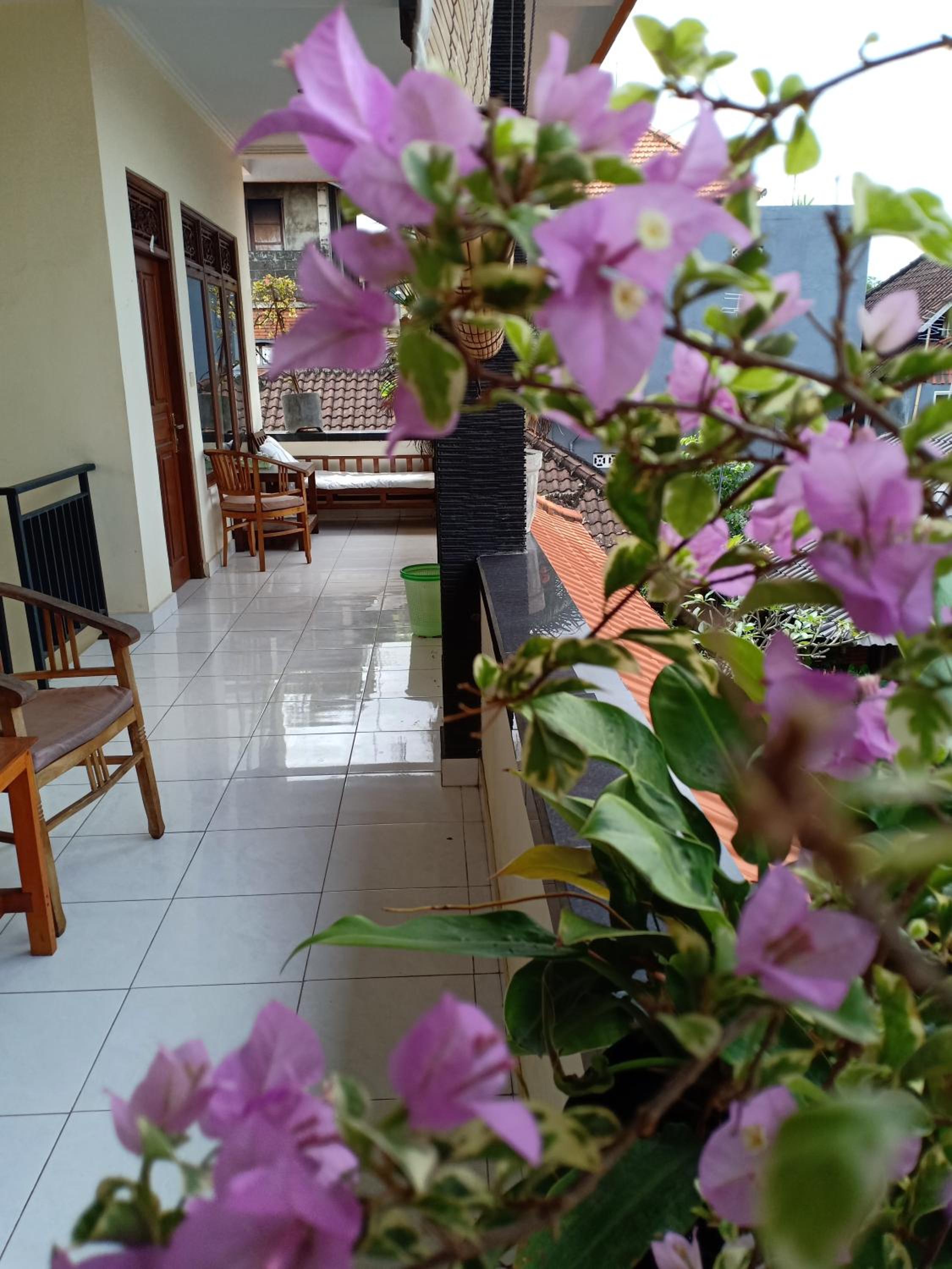 Degeg Ubud Homestay view 2