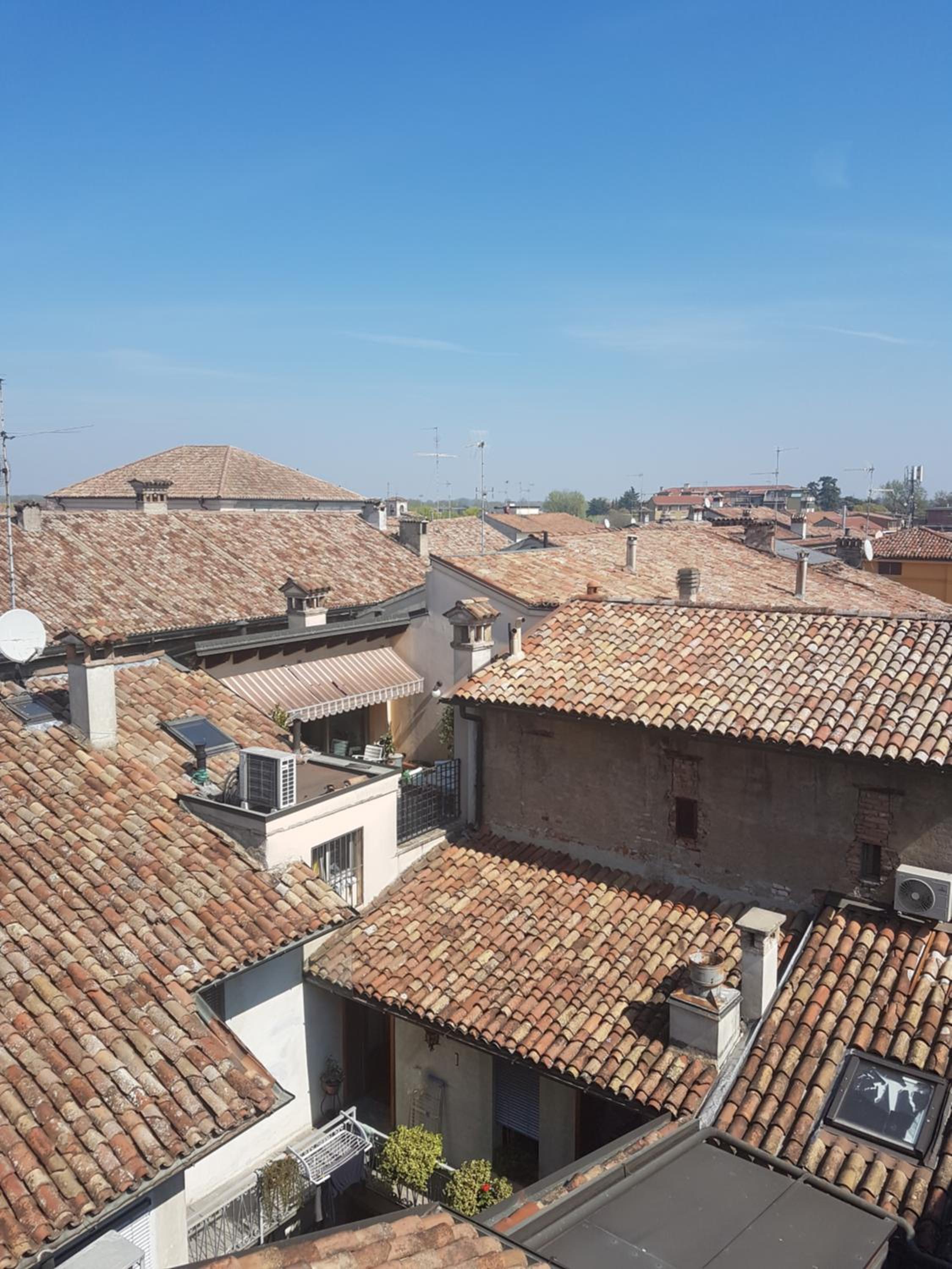roof