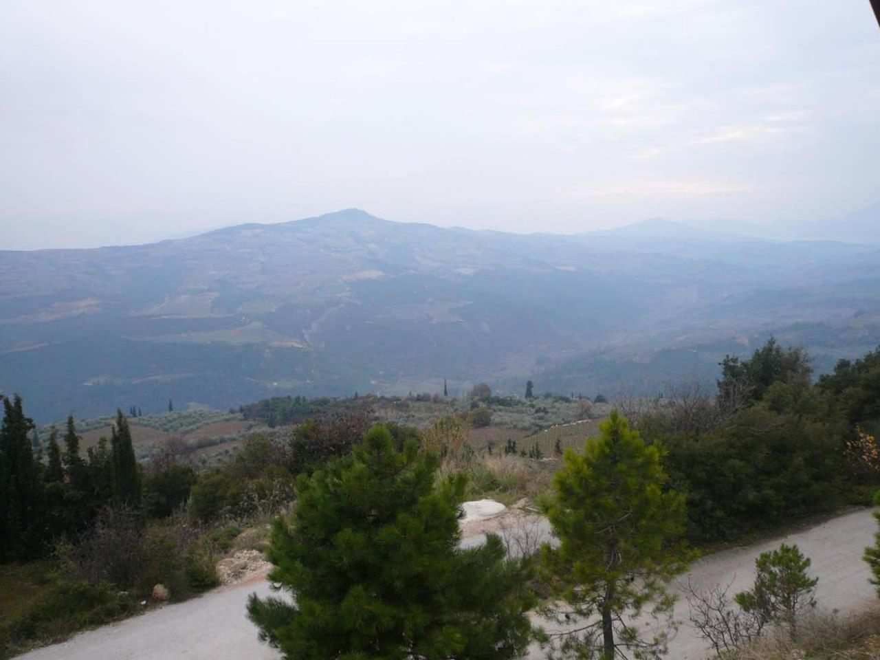 Photo 33